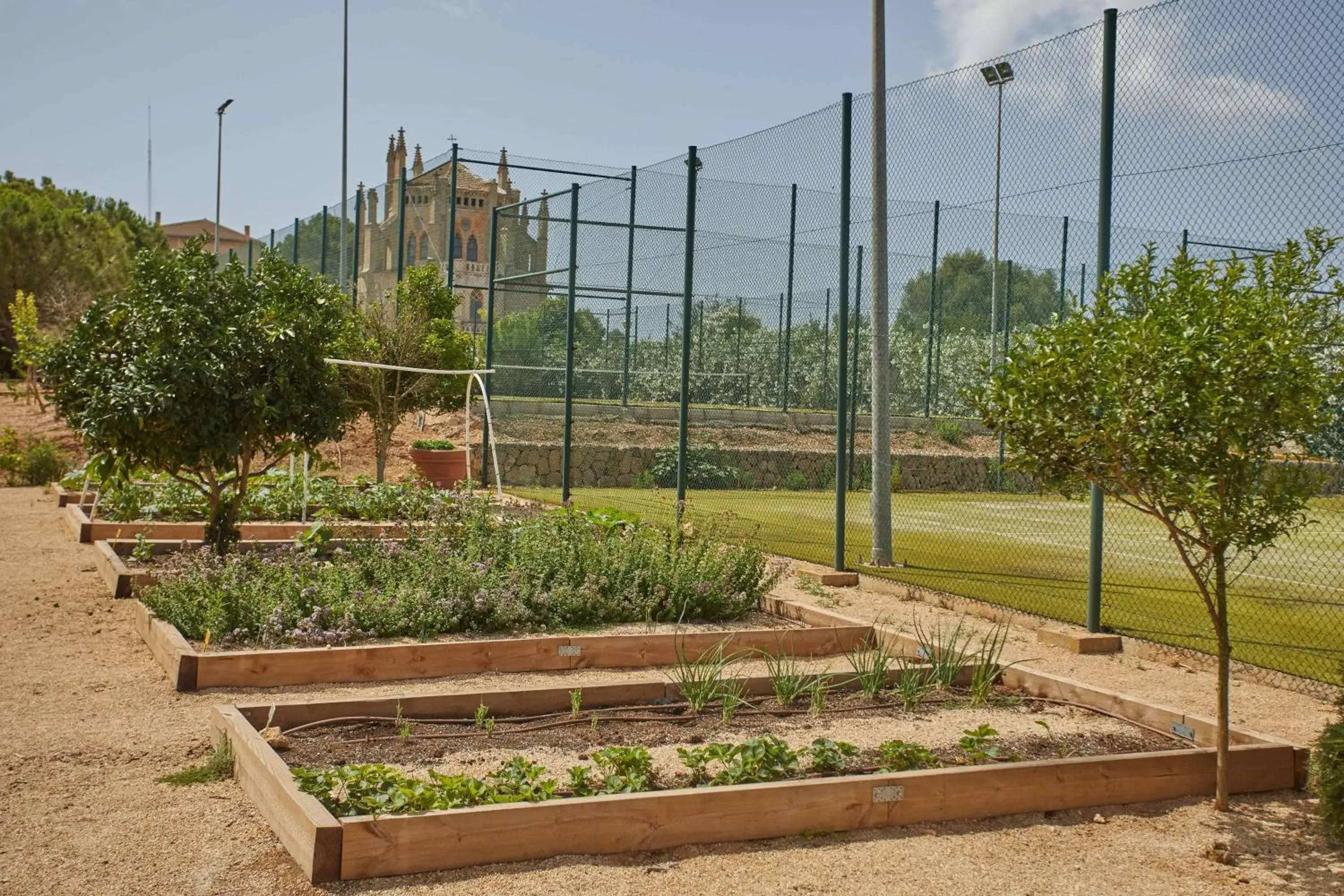 Garden in Zoetry Mallorca Wellness & Spa