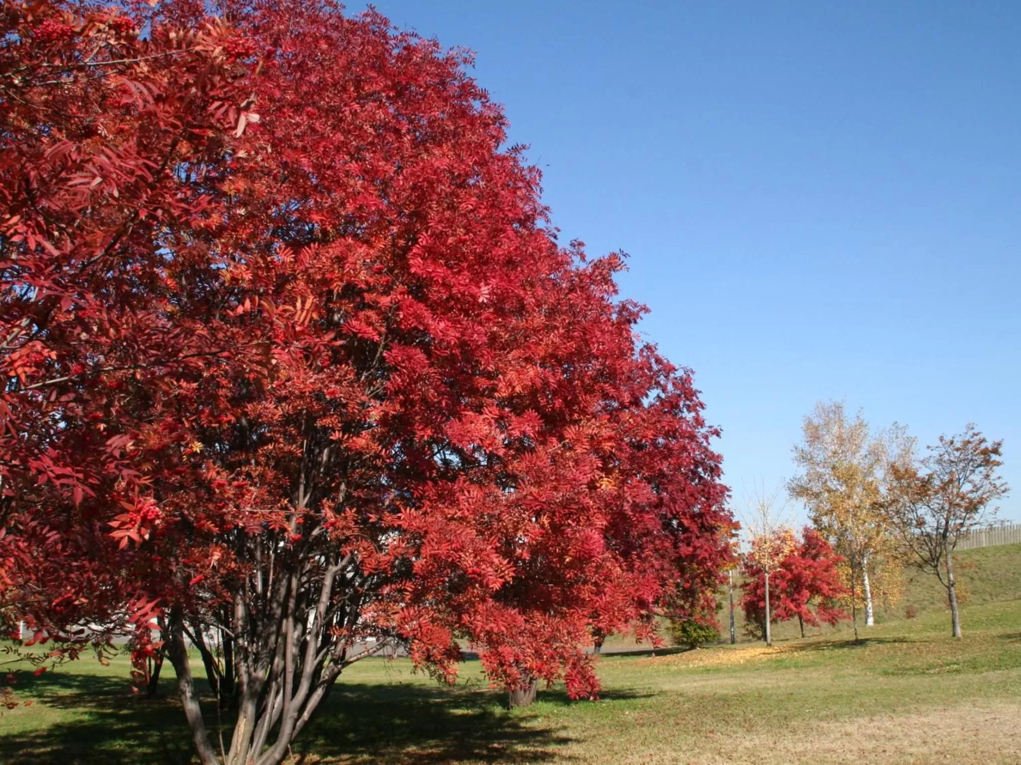Nearby landmark in APA Hotel & Resort Sapporo