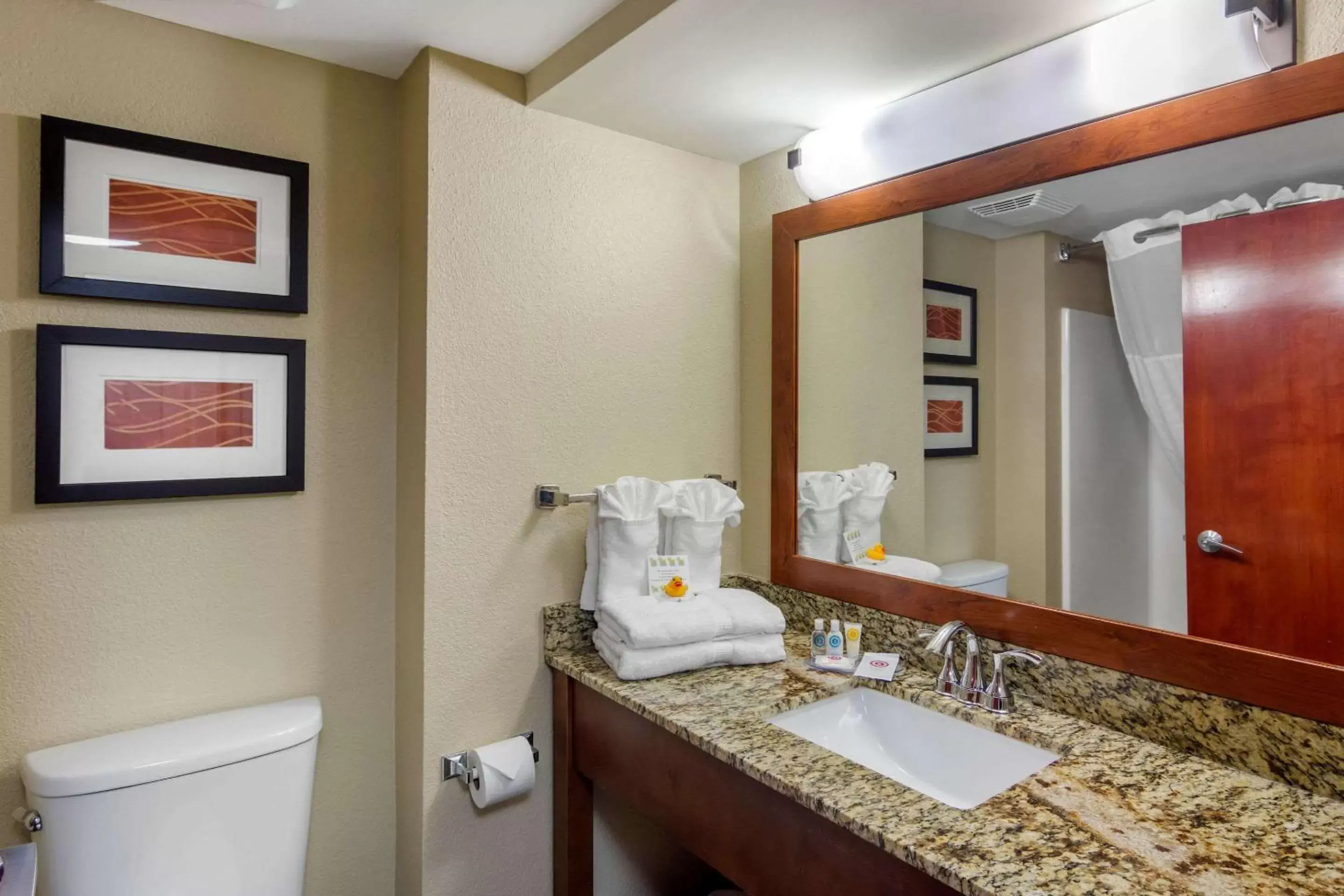 Photo of the whole room, Bathroom in Comfort Inn & Suites LaGrange