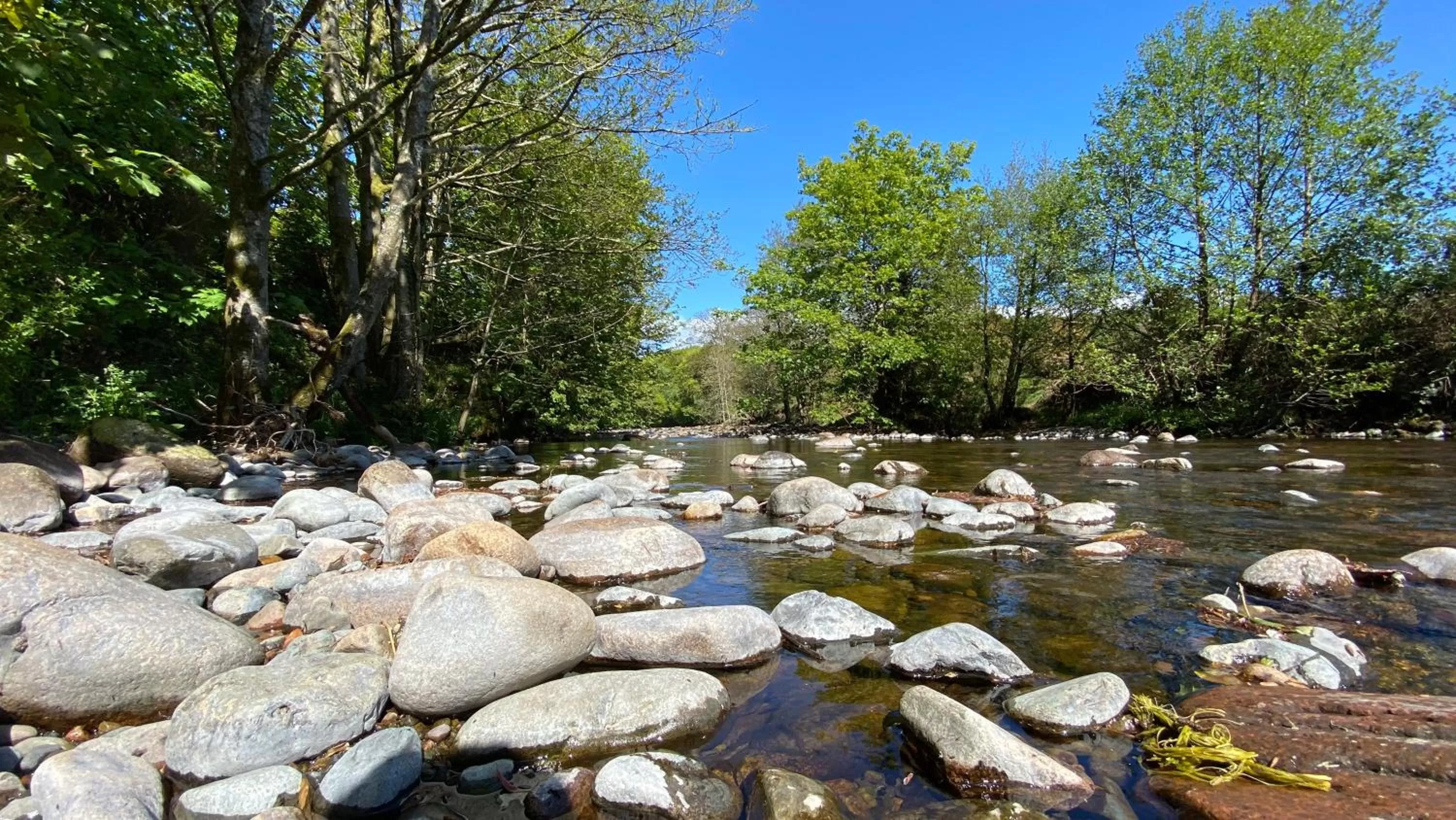 Natural landscape in Sella Park Country House Hotel