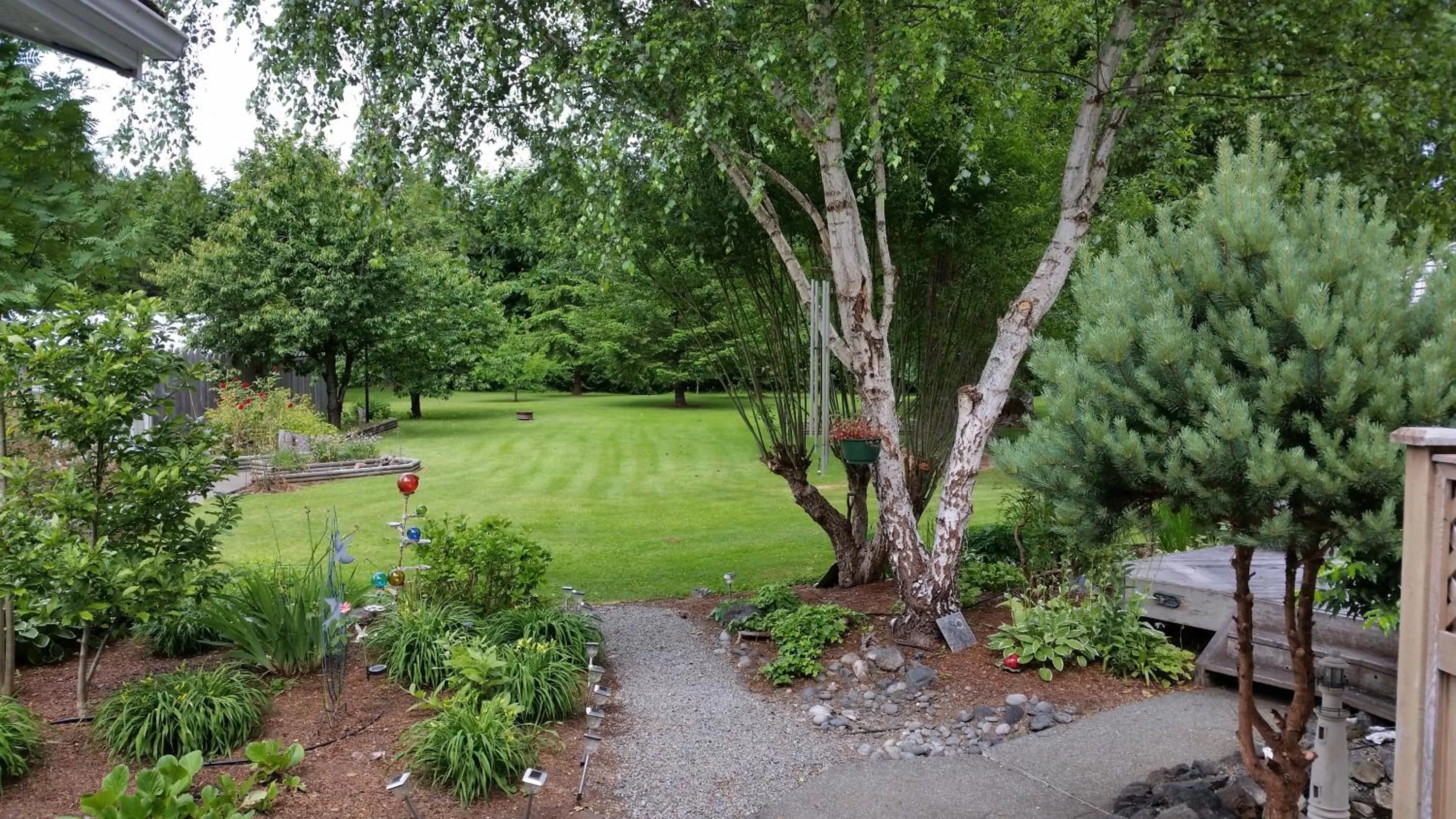 Garden in Hummingbird Guesthouse