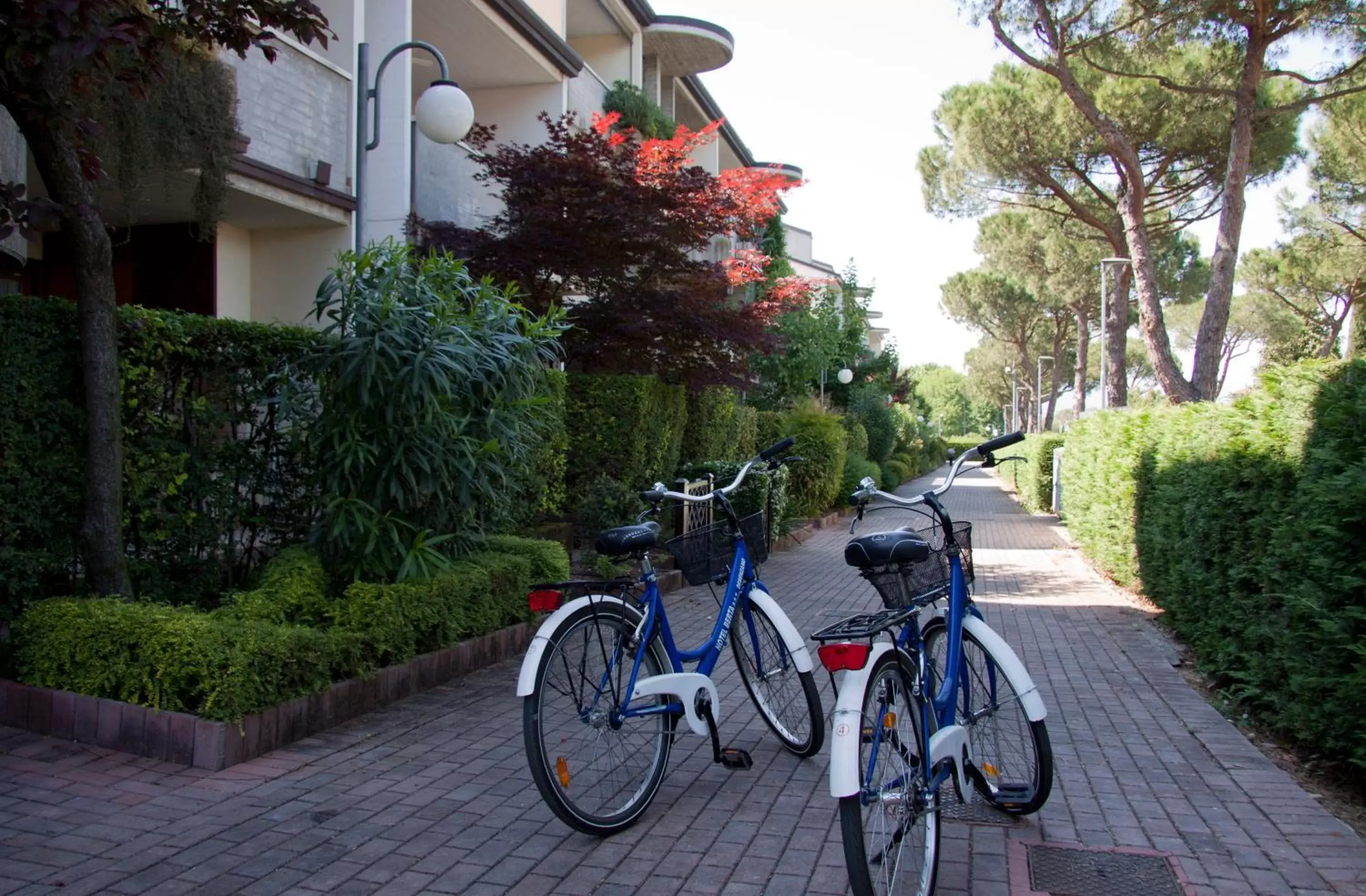 Biking in Lauri & Faggi