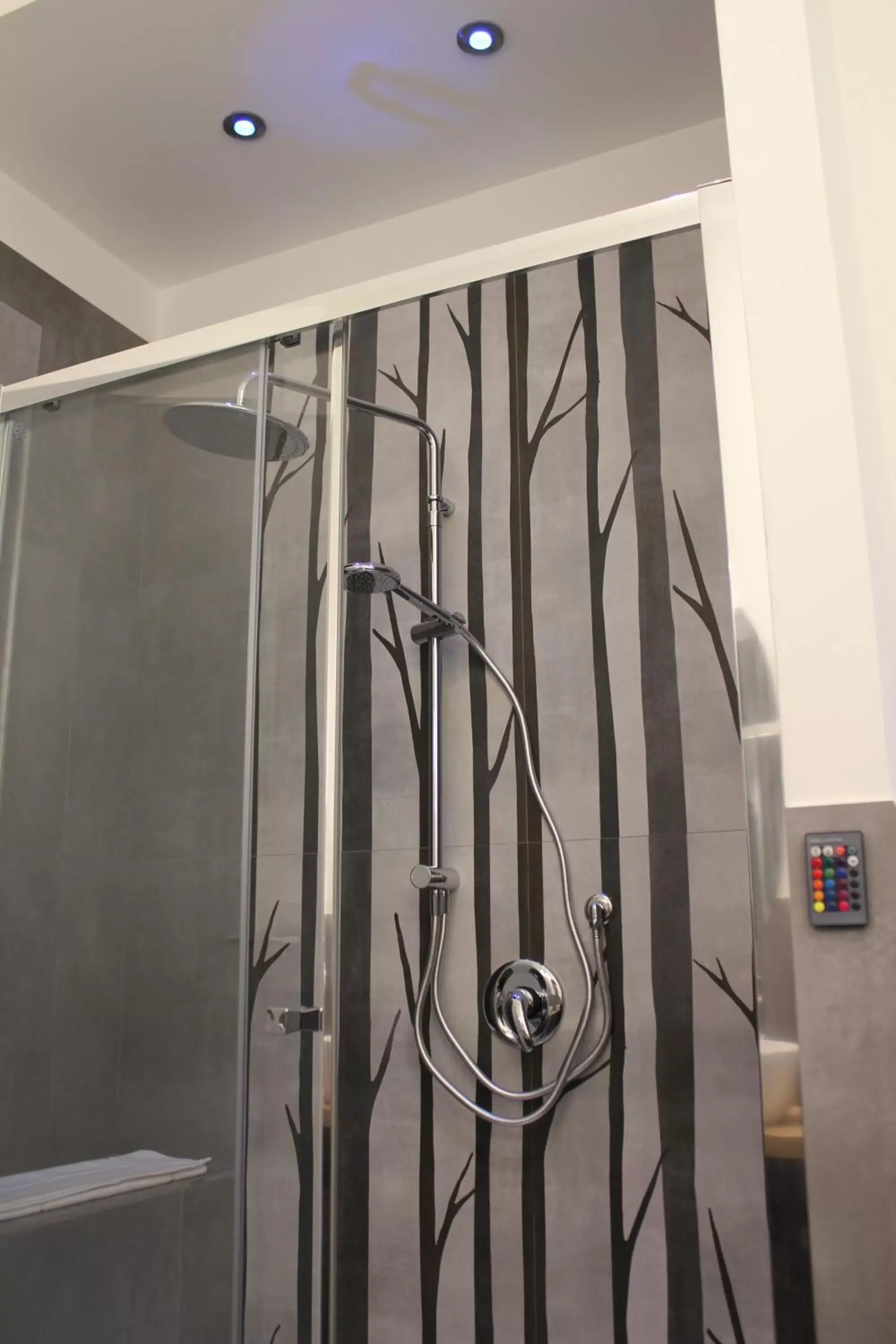 Shower, Bathroom in LA FINESTRA SUL PORTO