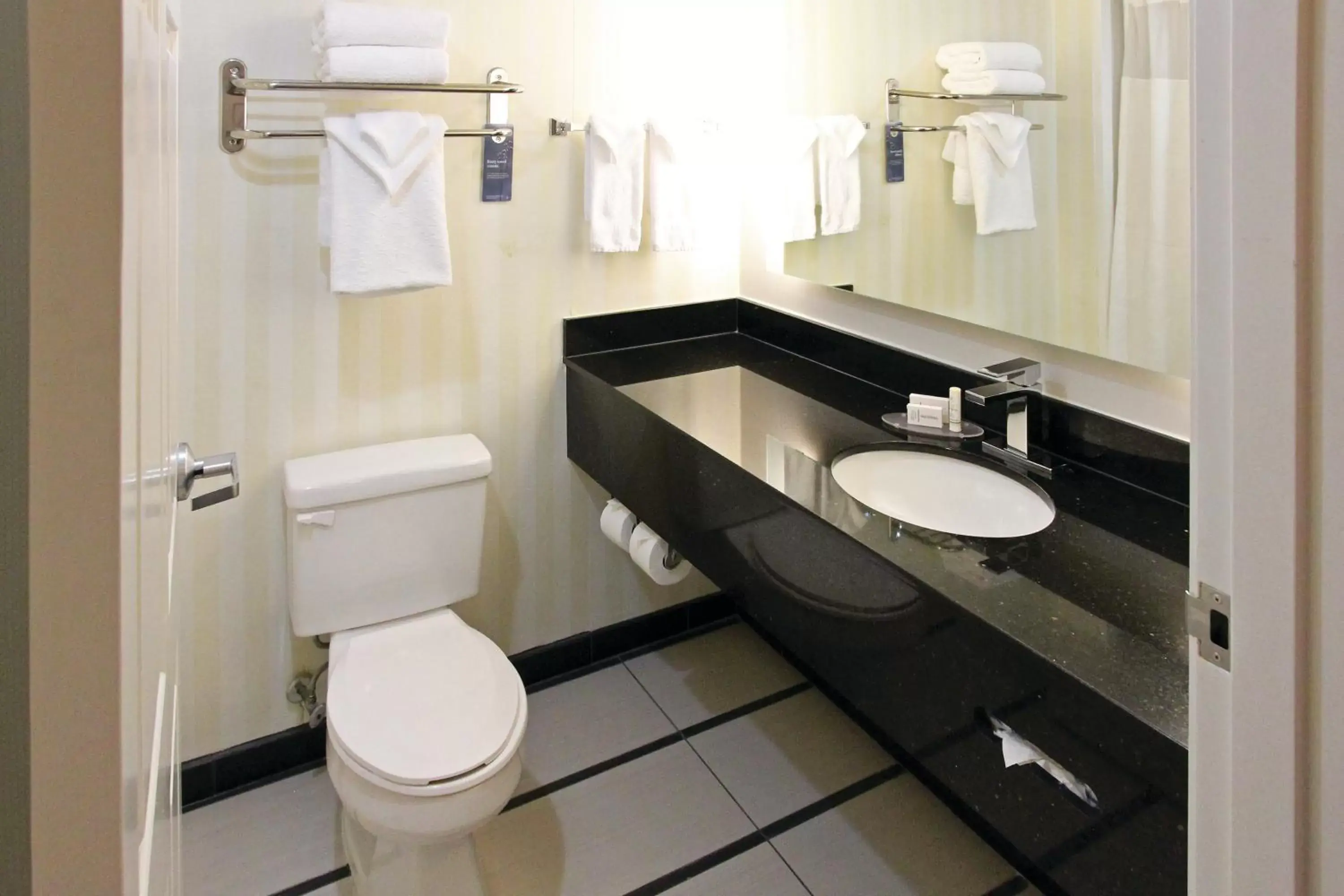 Bathroom in Fairfield Inn & Suites by Marriott Charleston Airport/Convention Center