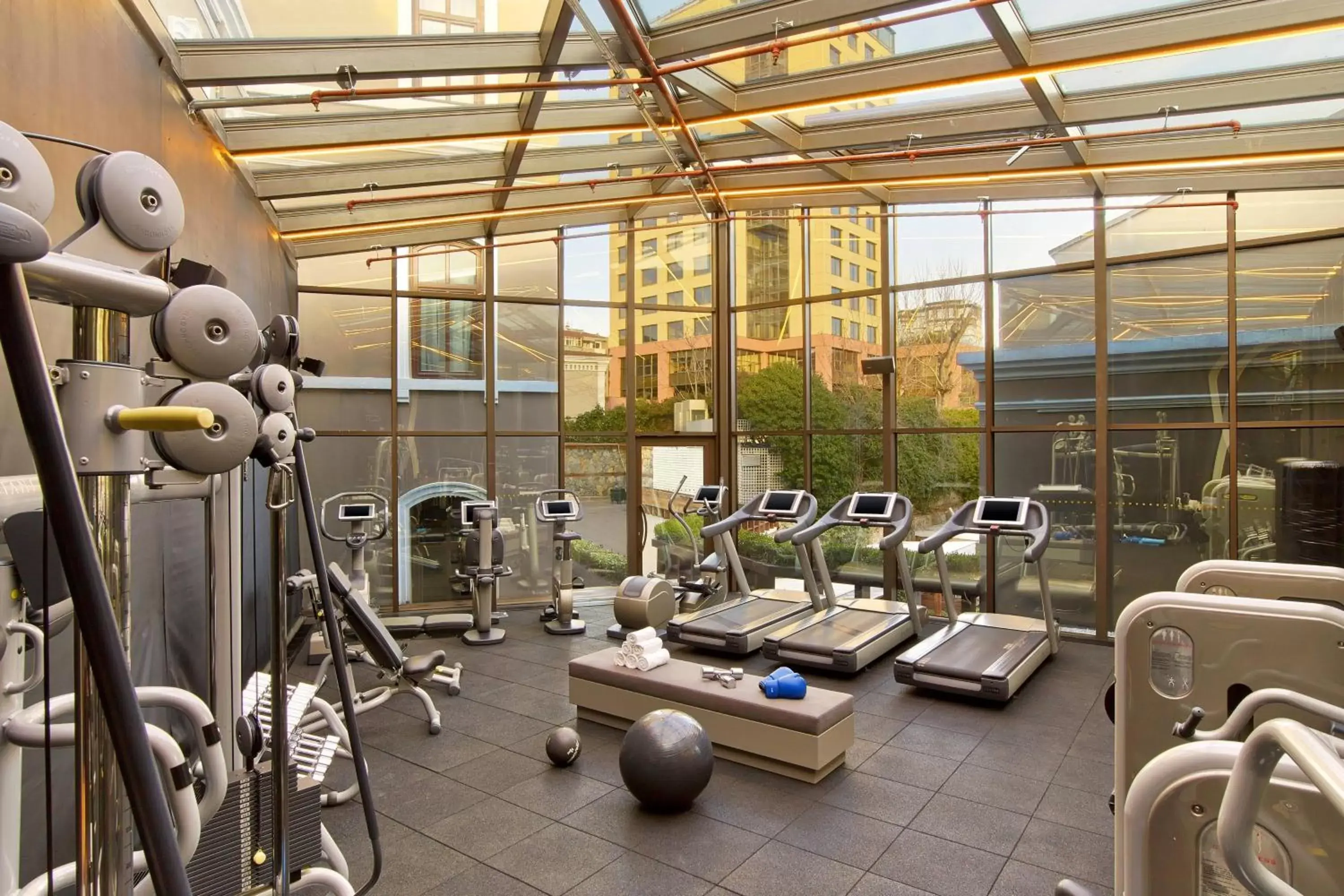 Fitness centre/facilities, Fitness Center/Facilities in W Istanbul