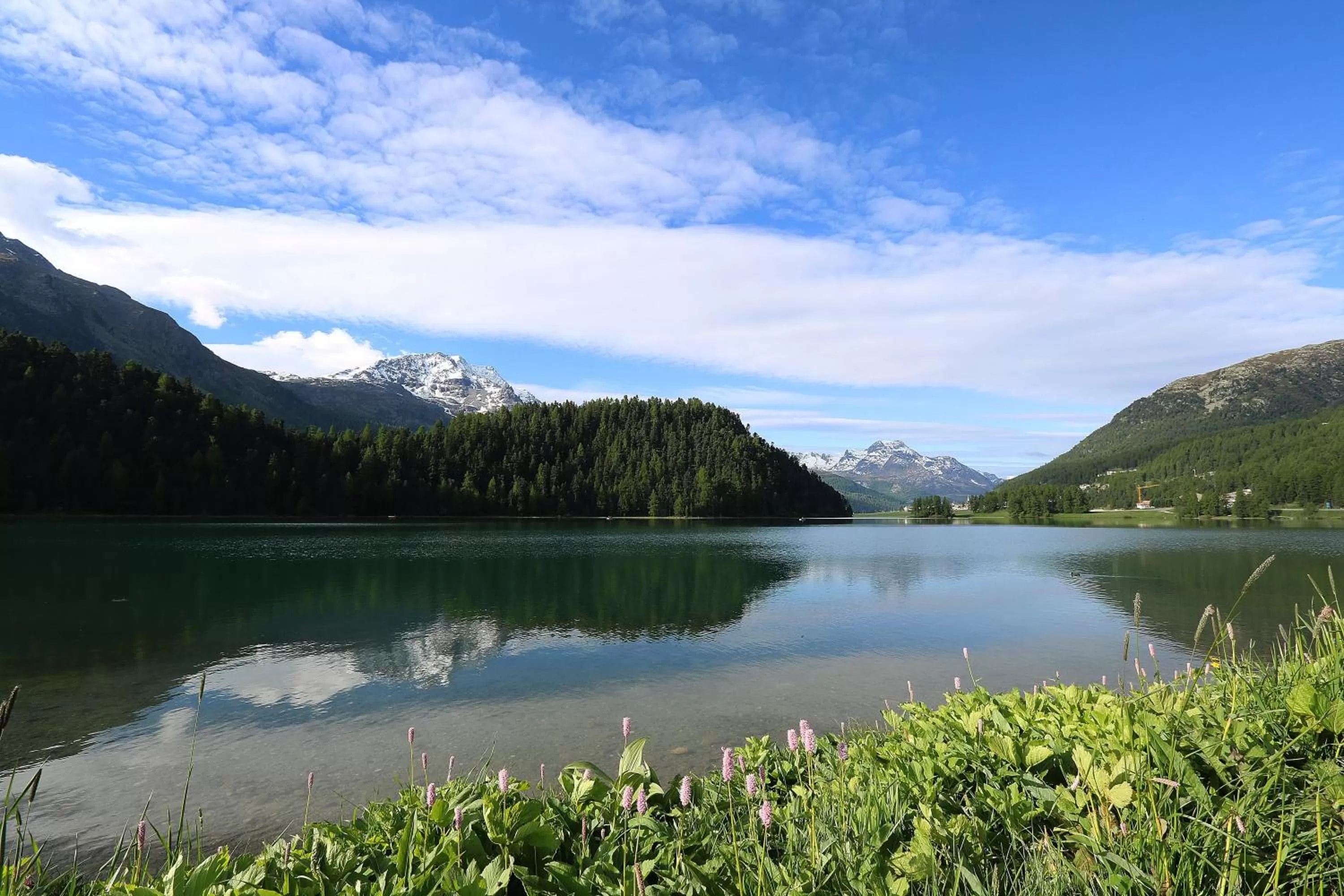 Natural landscape in b&b River Inn