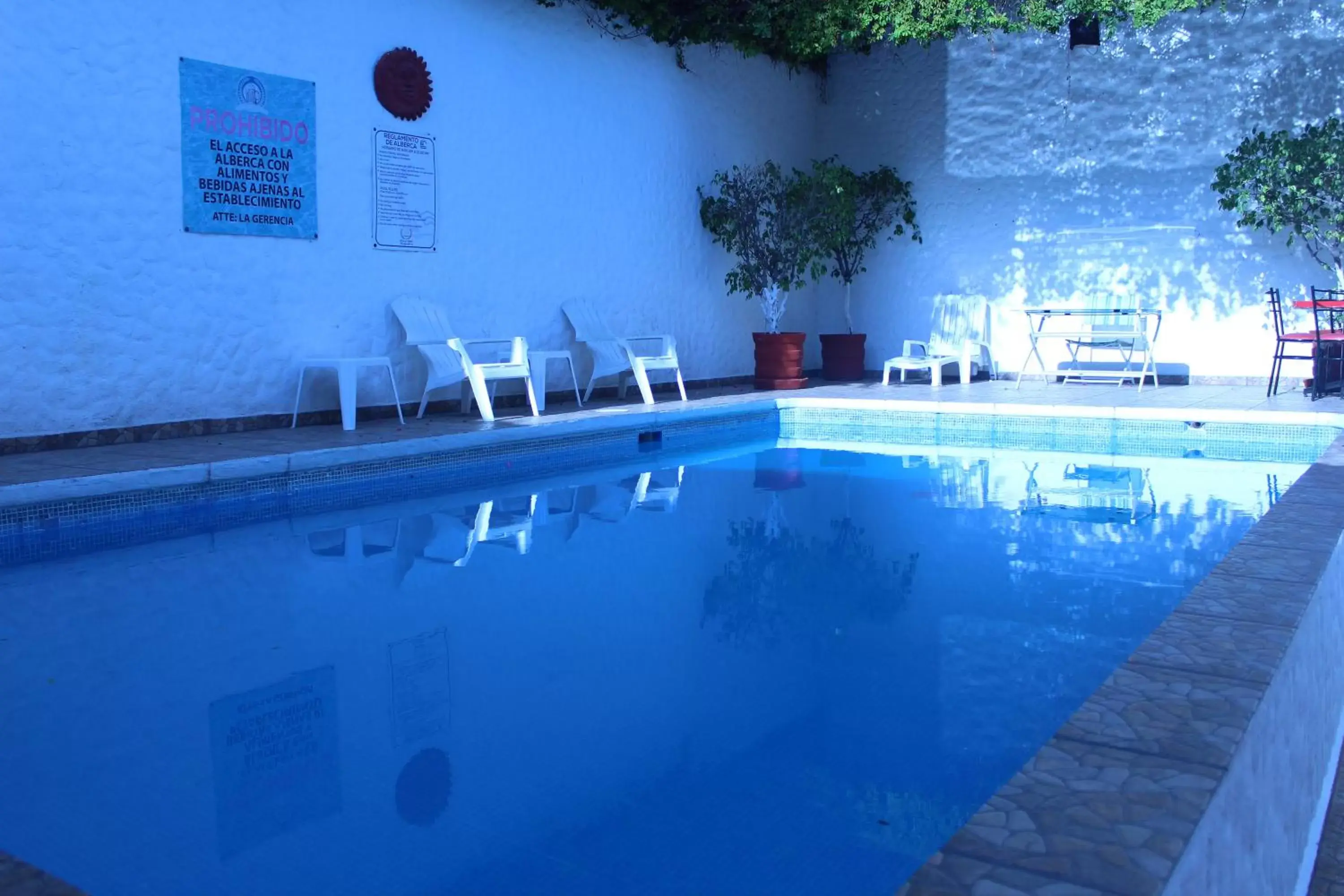 Pool view, Swimming Pool in D'Cesar Hotel Acapulco