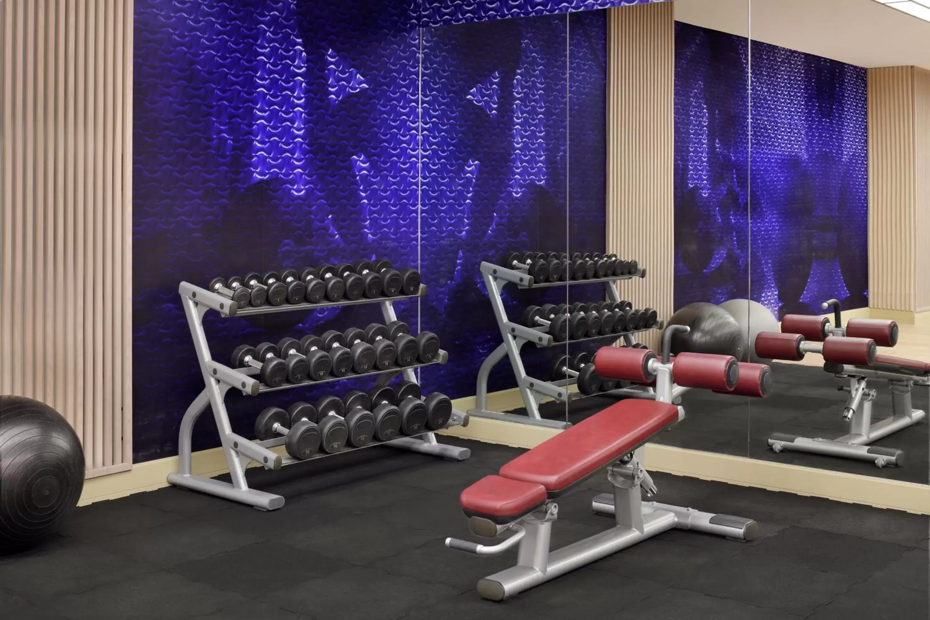 Fitness centre/facilities, Fitness Center/Facilities in Delta Hotels by Marriott Dubai Investment Park