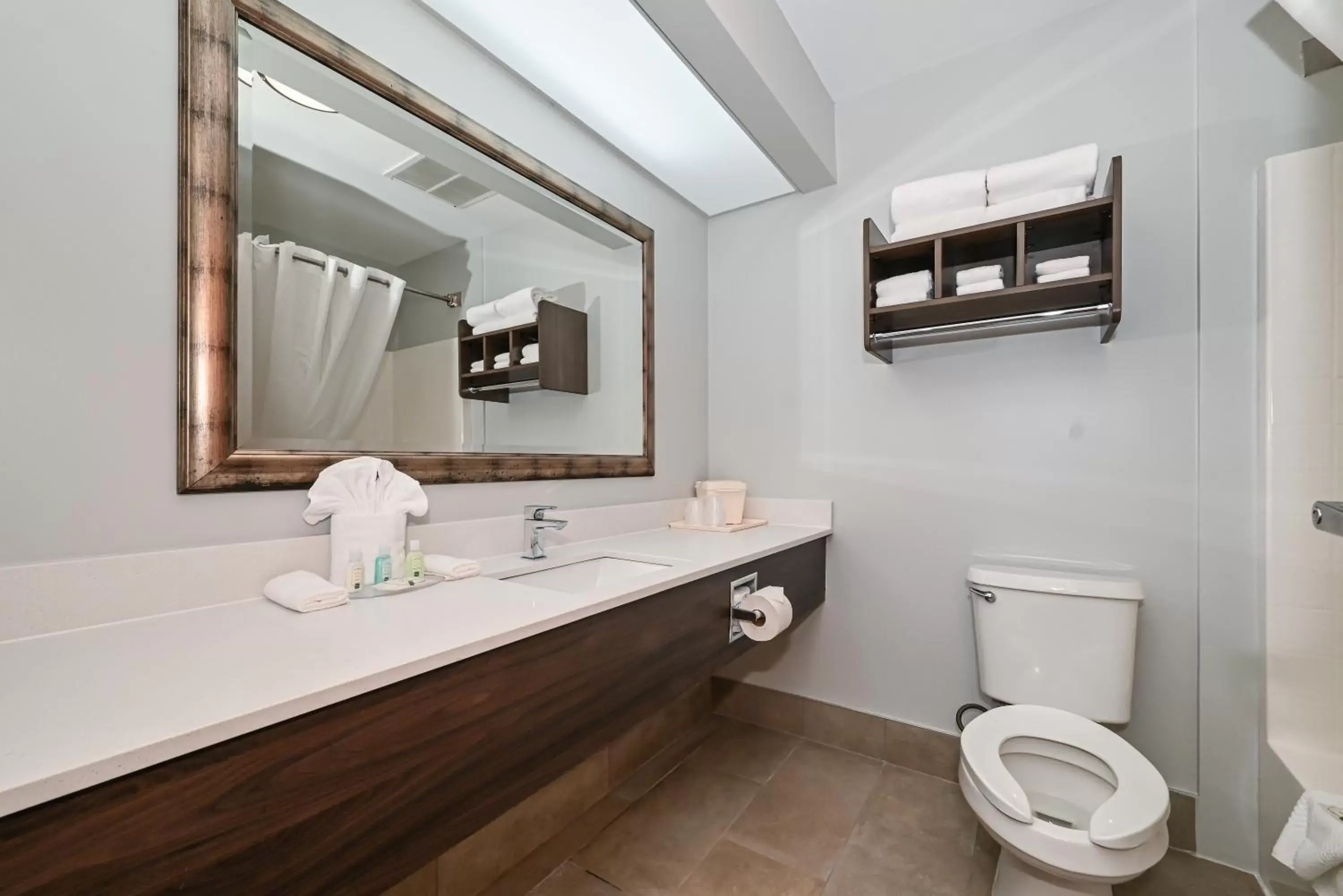Bathroom in Quality Inn & Suites Matthews