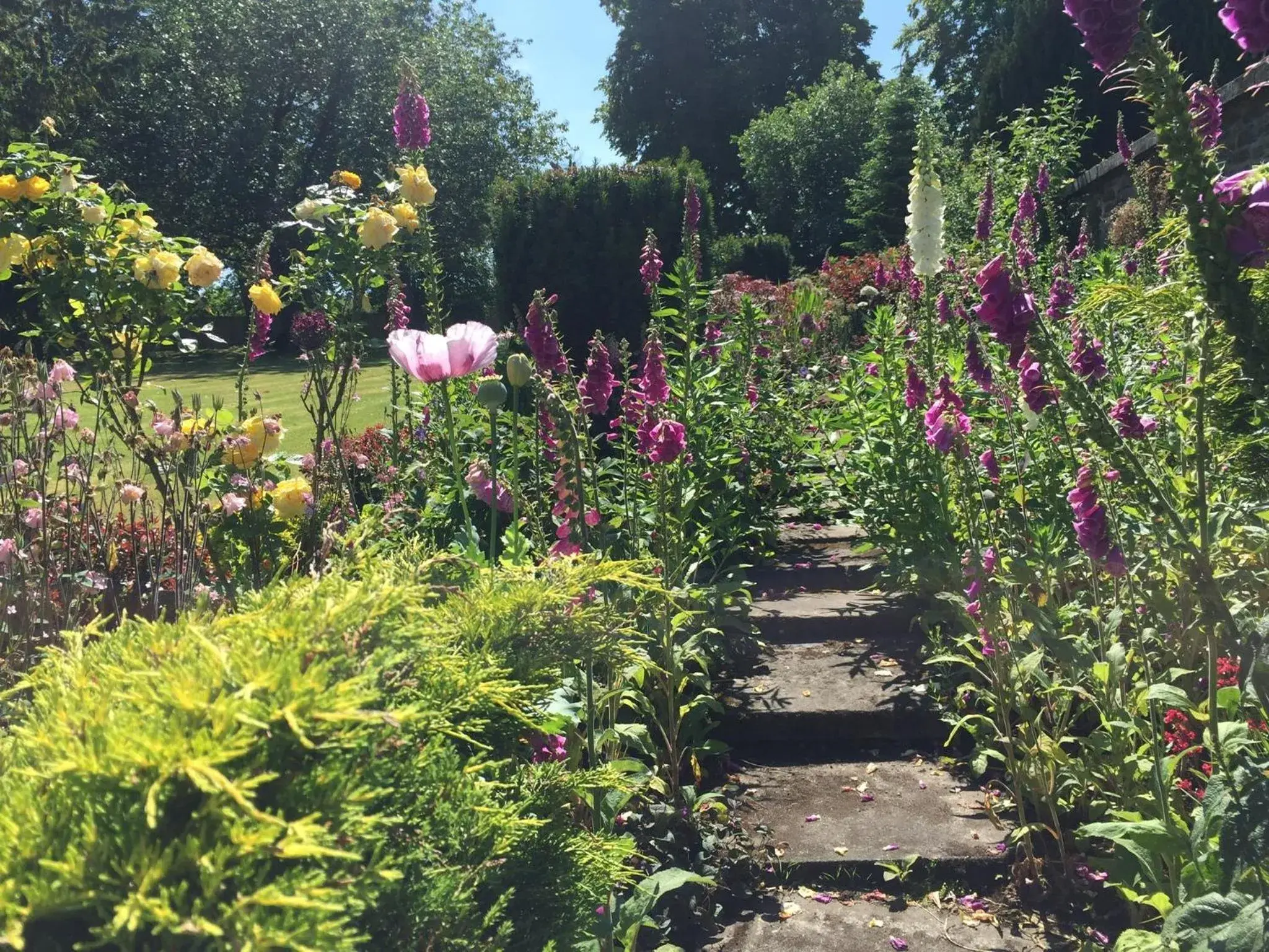 Garden view, Garden in Hedgefield House
