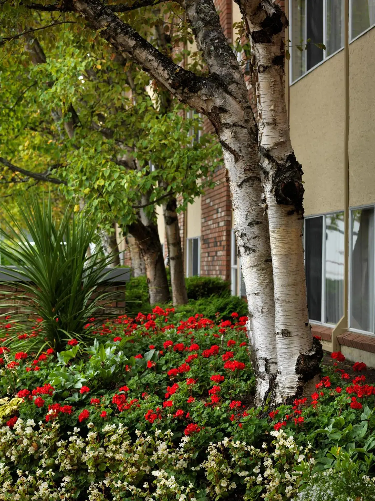 Garden, Property Building in Royal Scot Suite Hotel