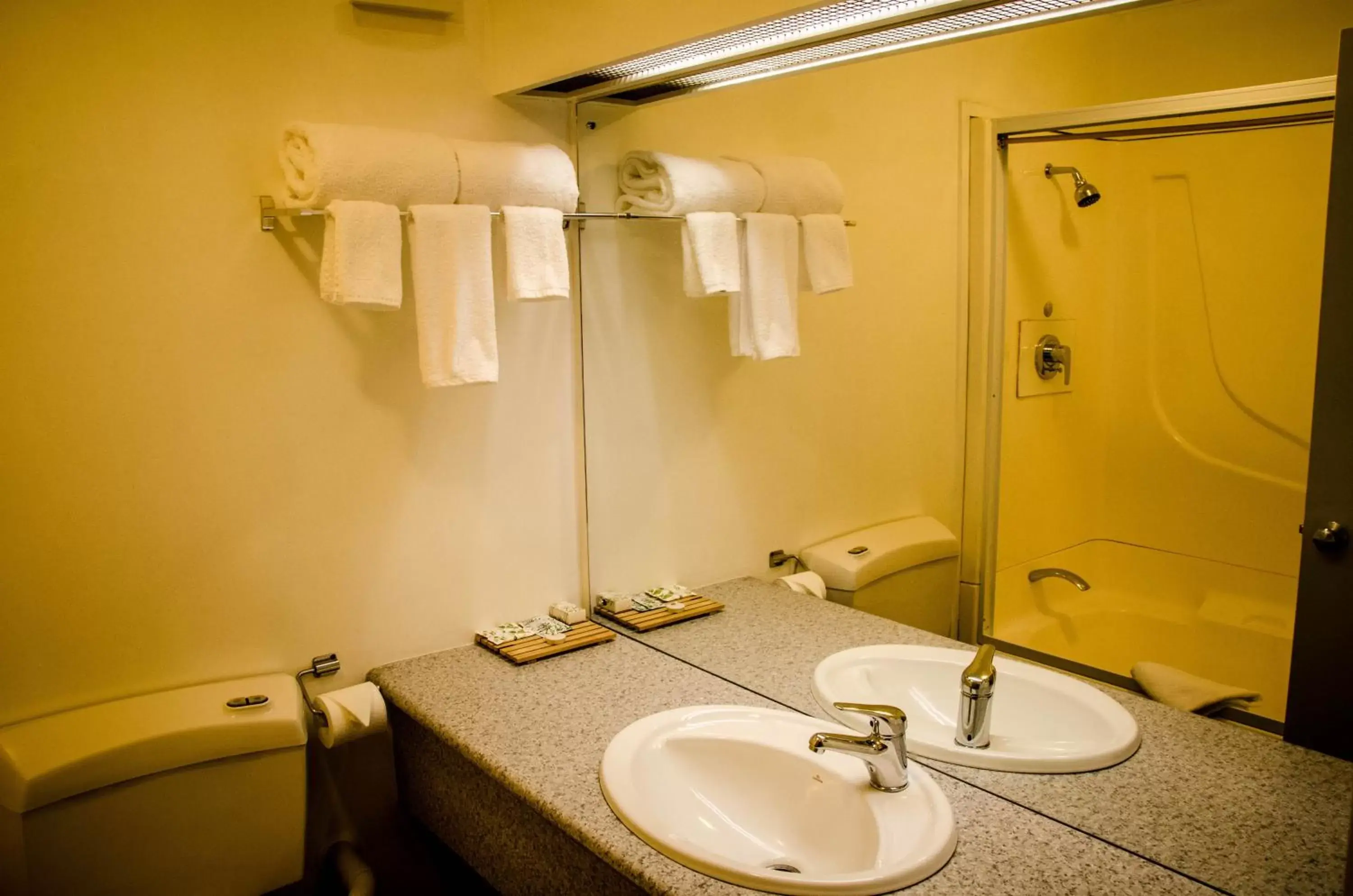 Bathroom in Alpers Lodge & Conference Centre