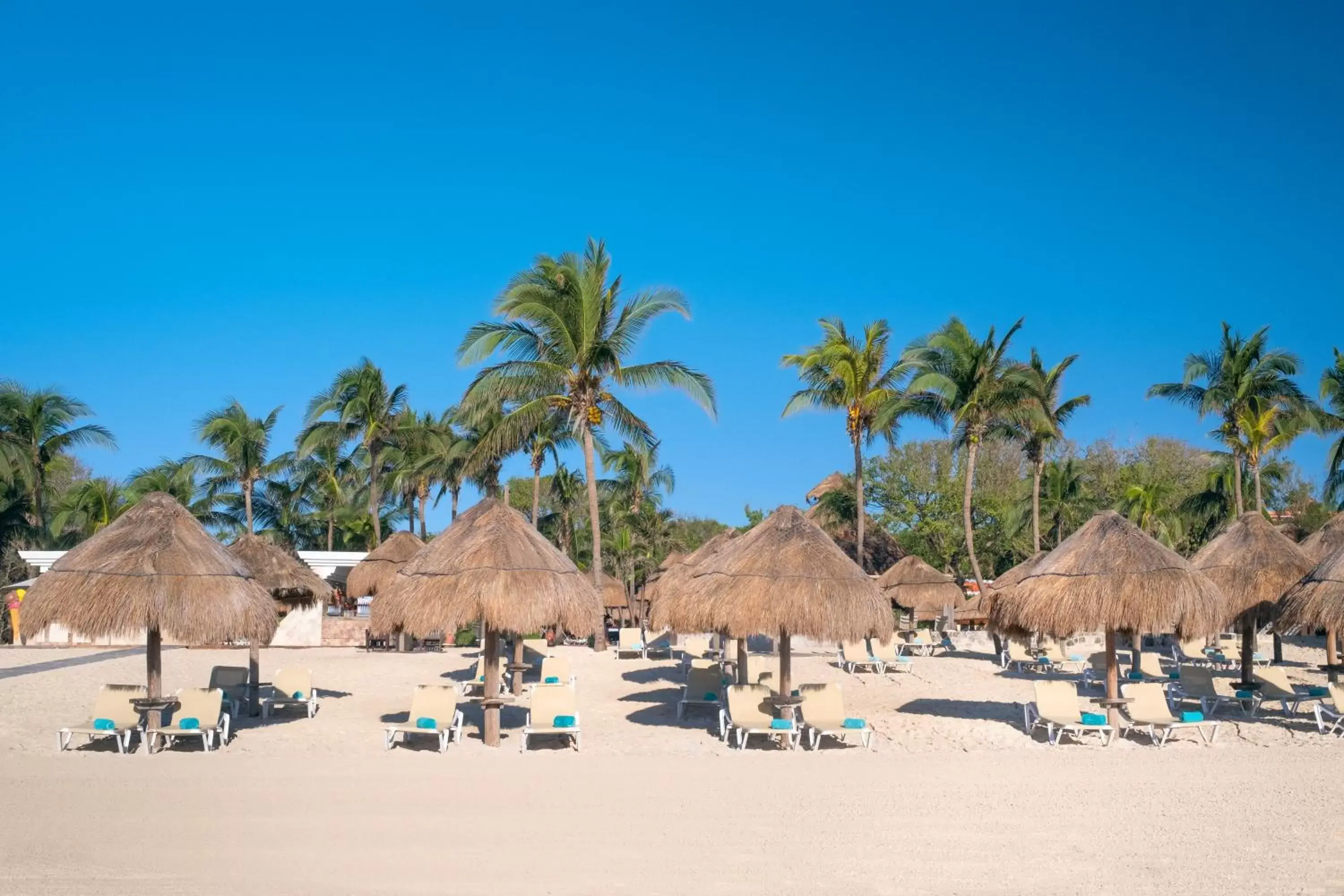 Beach in Iberostar Tucan