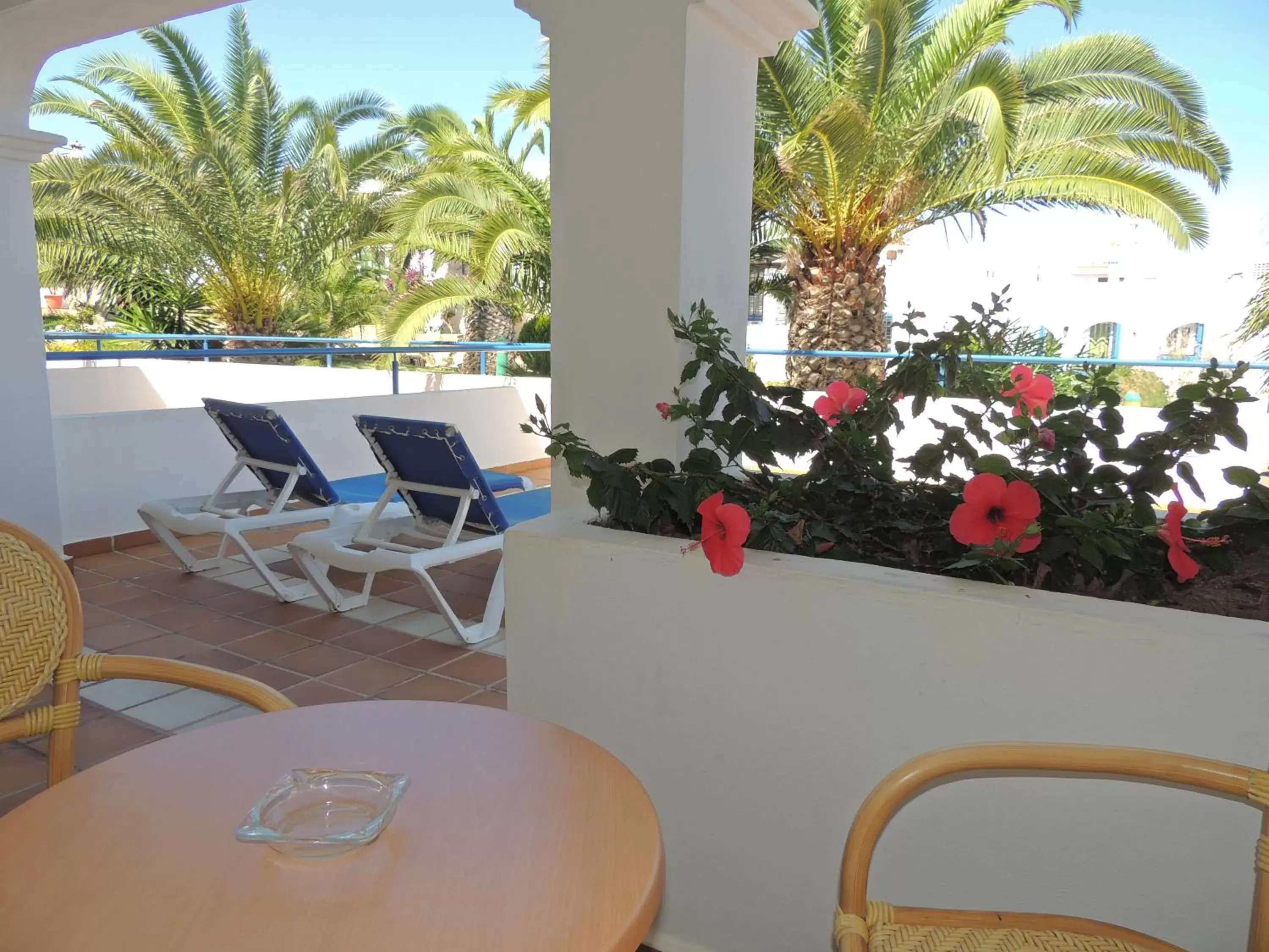 Garden view, Balcony/Terrace in Hotel Puntazo II