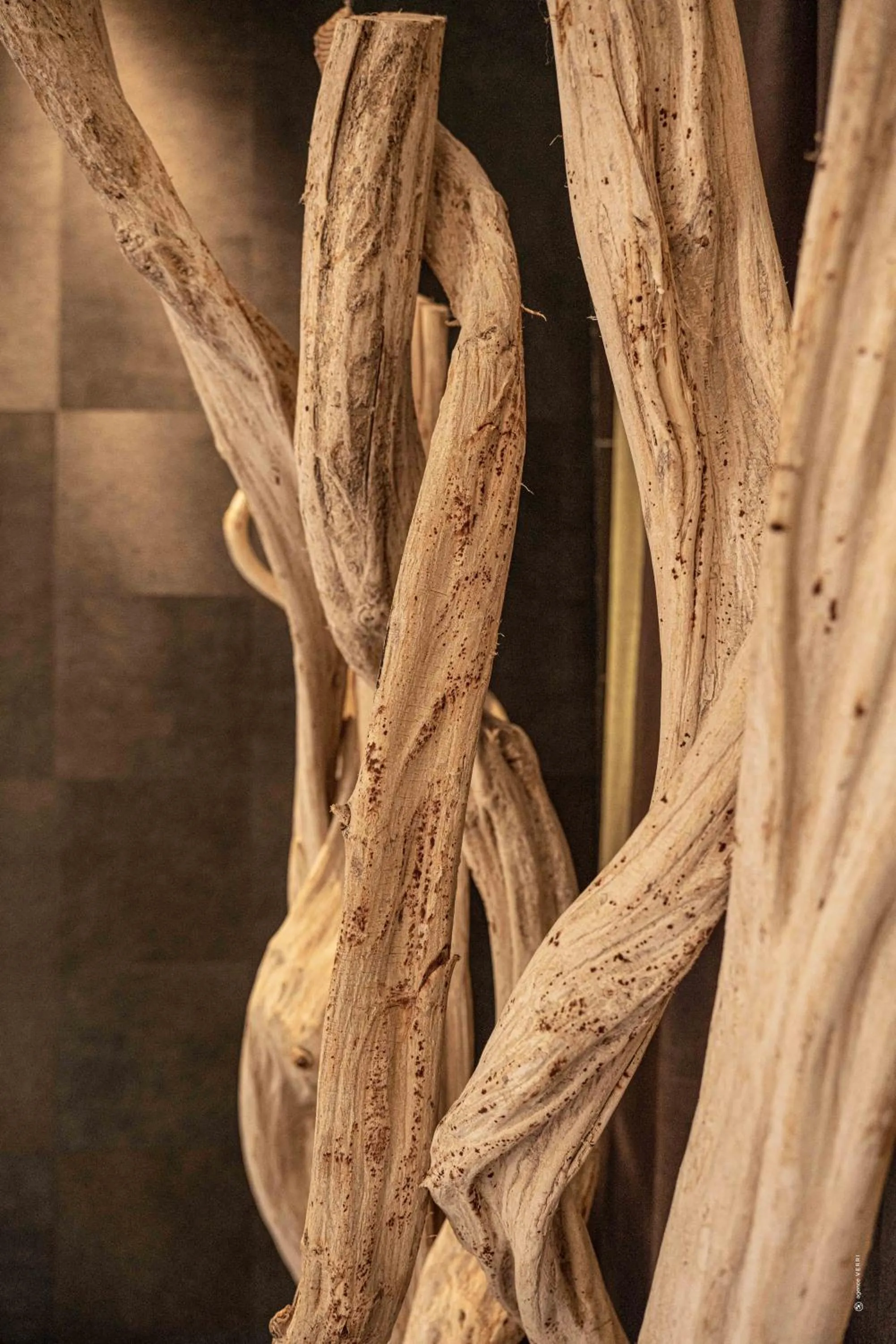 Decorative detail in Hôtel Le Parc - La Table de Franck Putelat