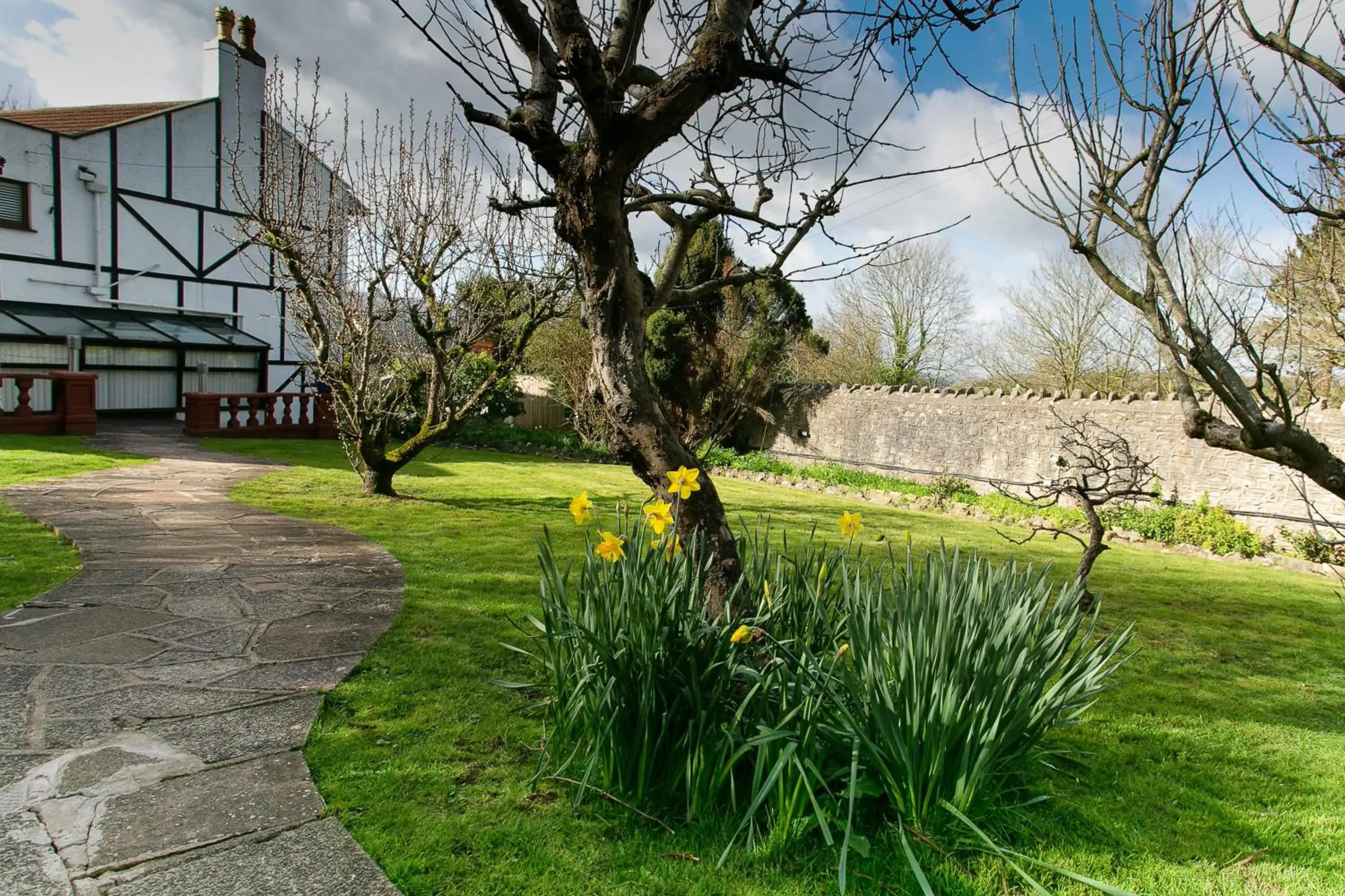 Garden in Redhill House