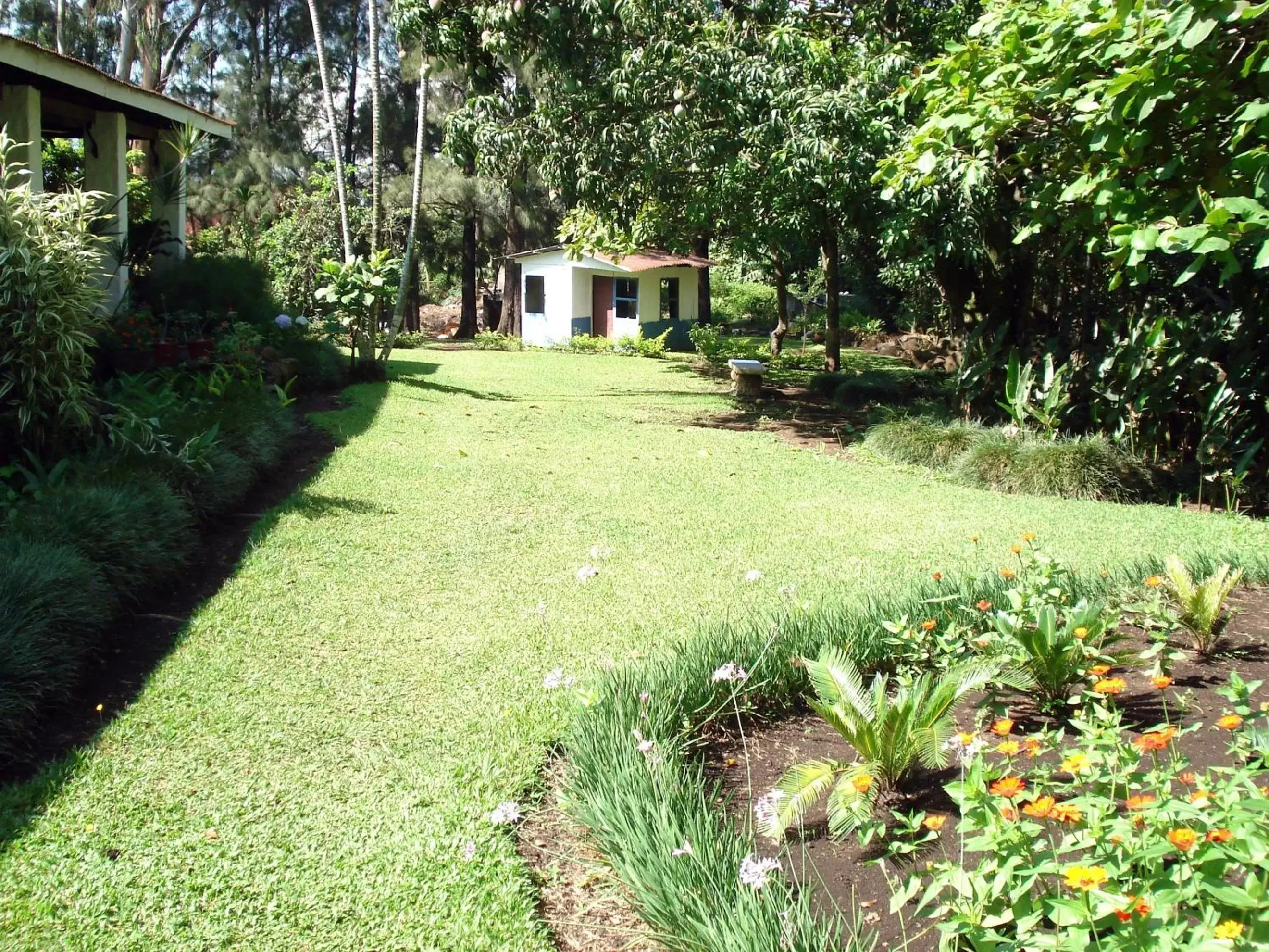 Garden in Hotel Aeropuerto