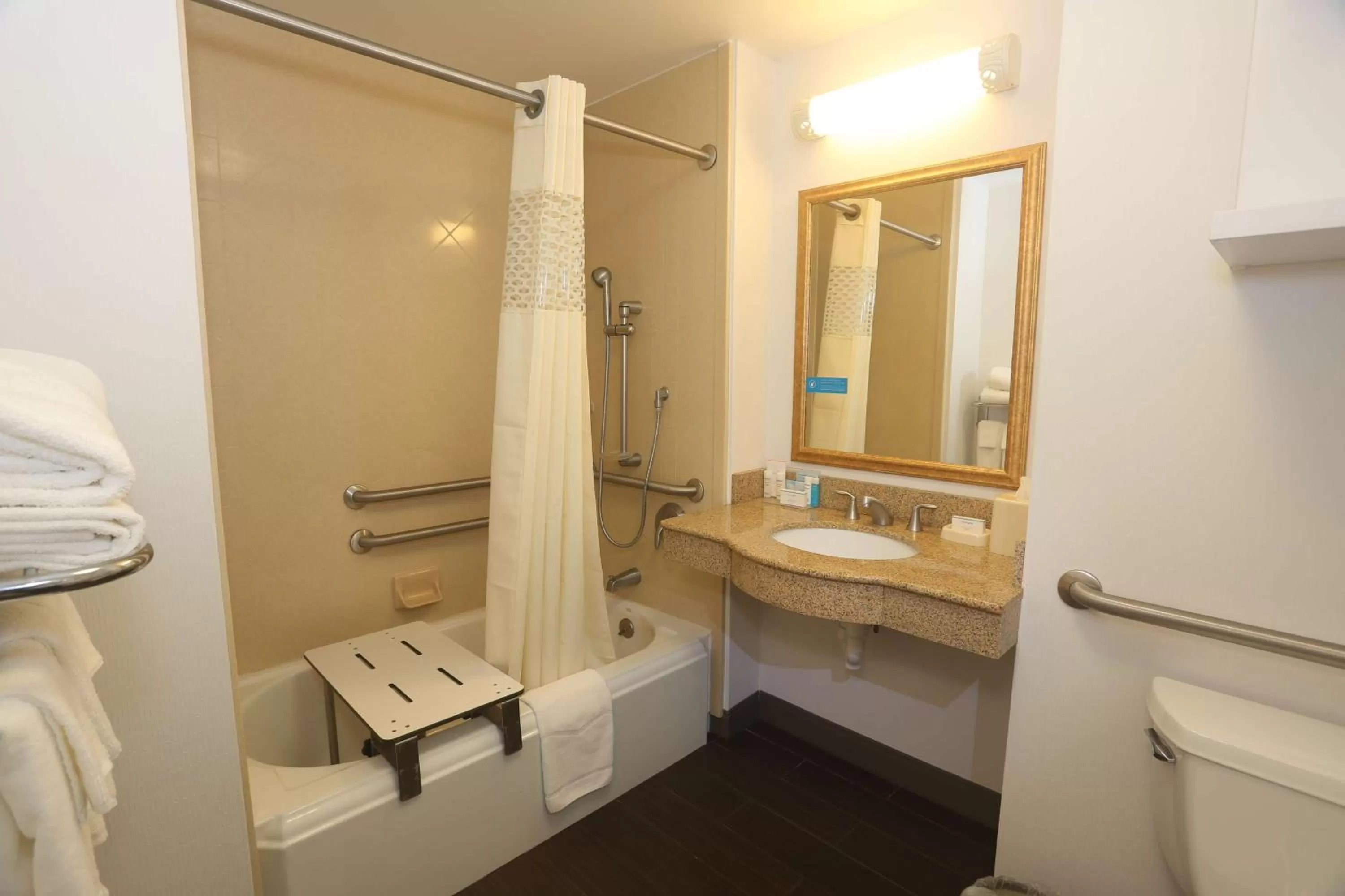 Bathroom in Hampton Inn Owego