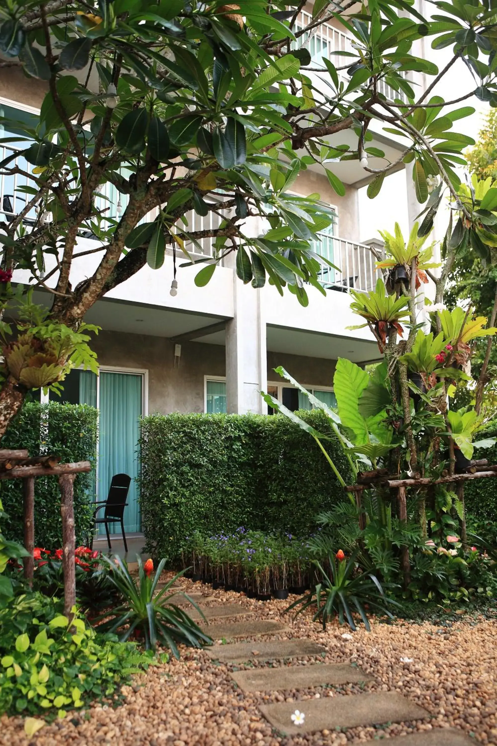 Garden, Property Building in The Malika Hotel - SHA Extra Plus