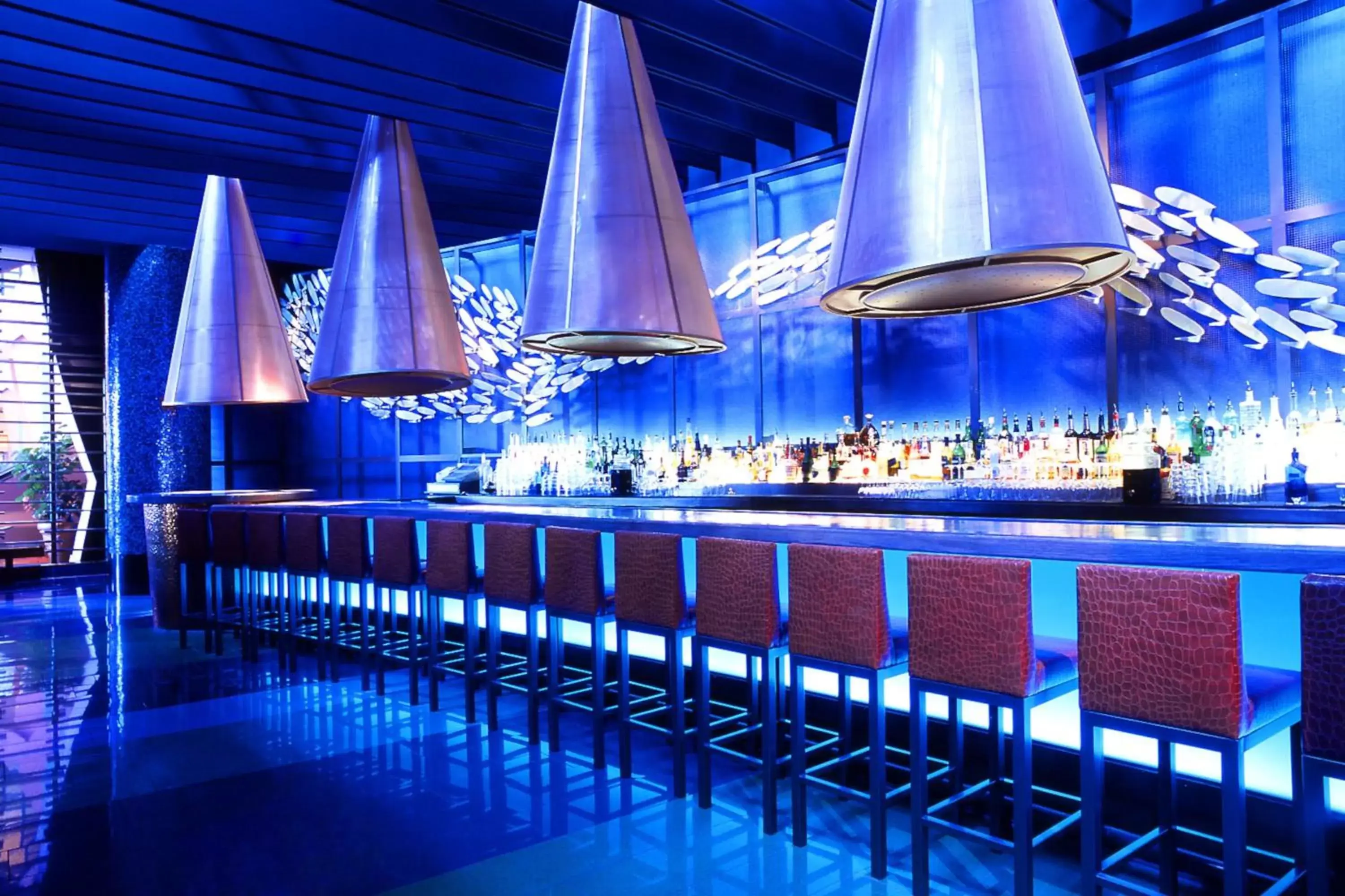 Lounge or bar, Swimming Pool in Walt Disney World Dolphin