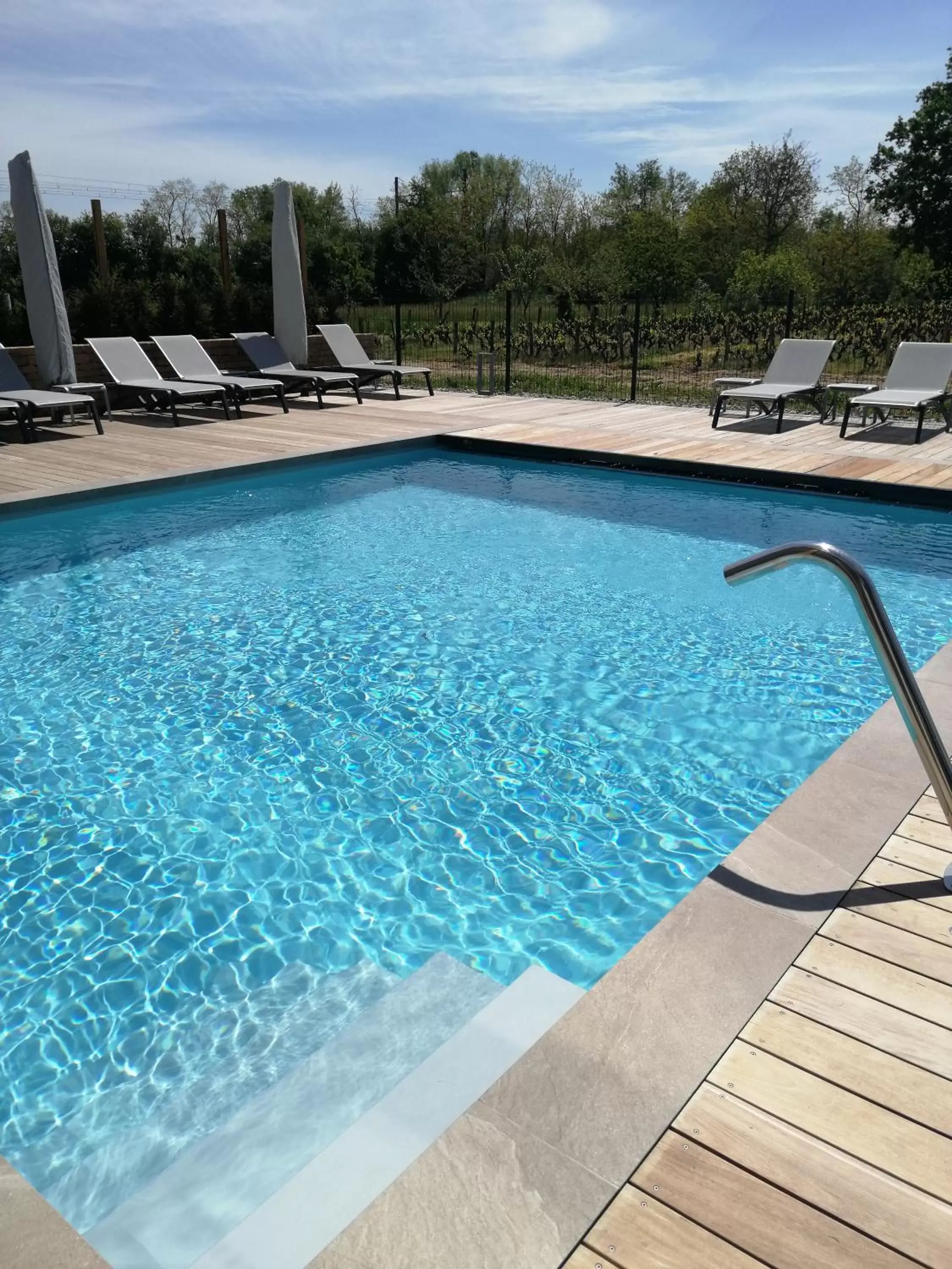 Swimming Pool in Les Maritonnes Parc & Vignoble