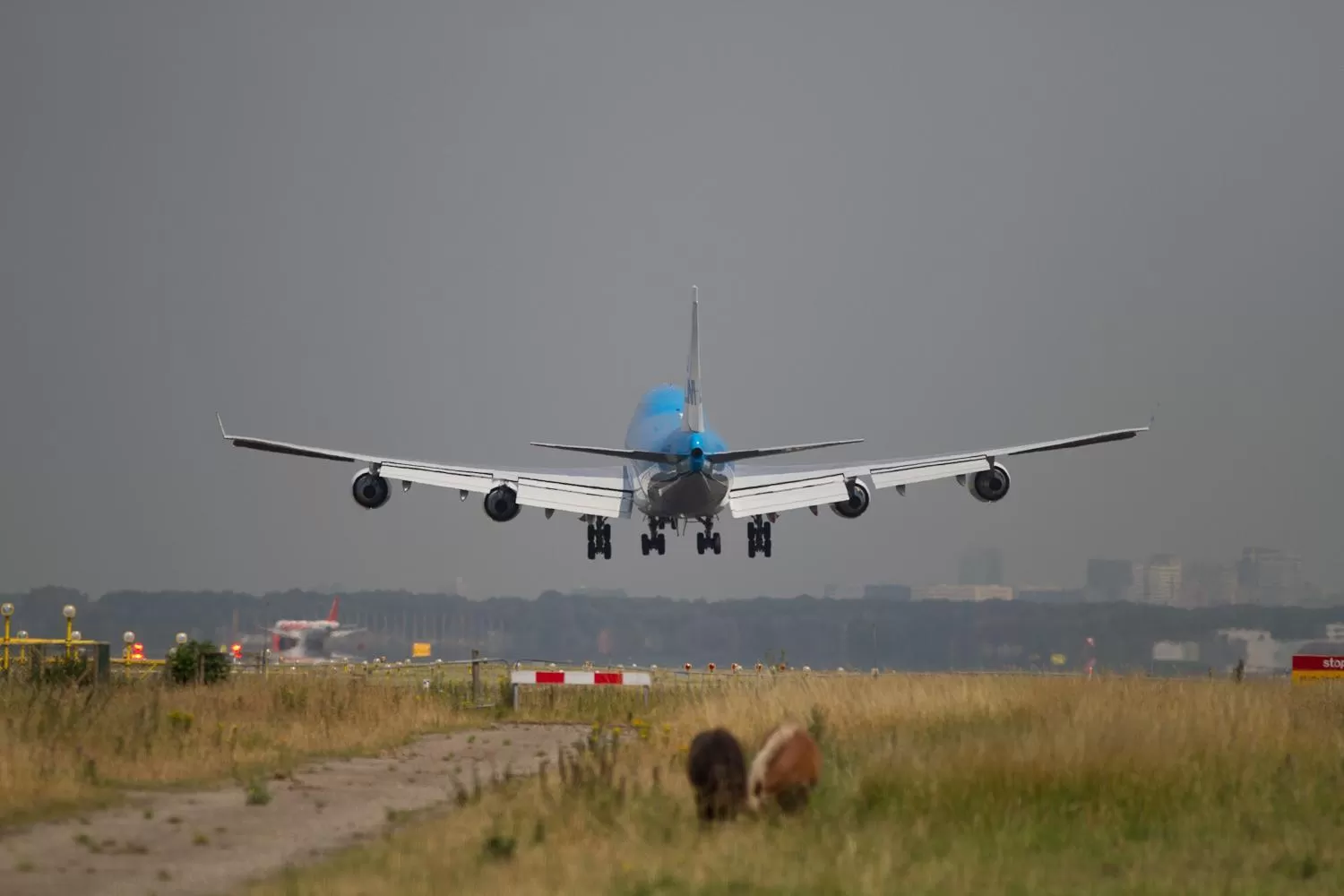 Other in Bastion Hotel Amsterdam Airport