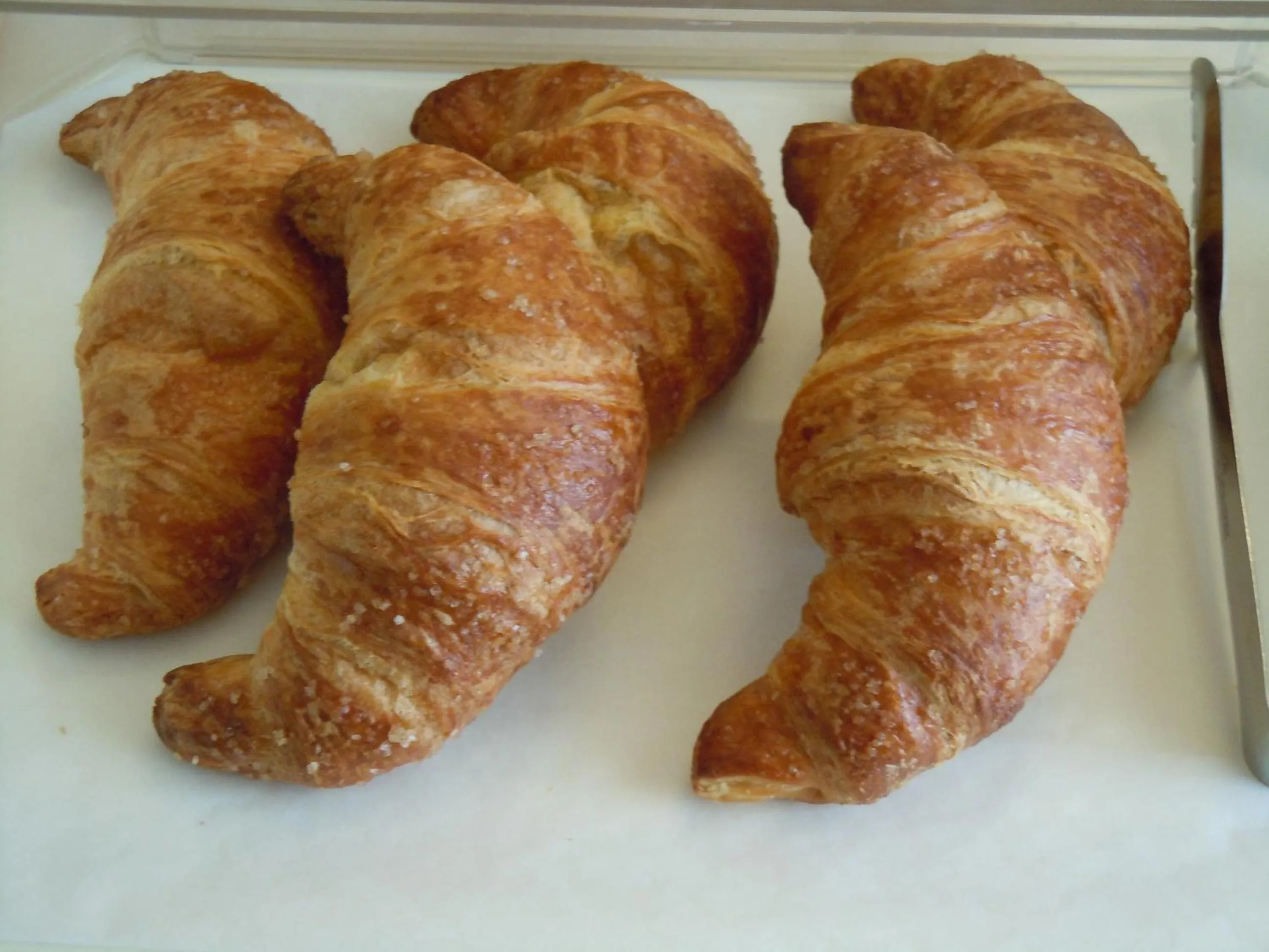 Buffet breakfast in Albergo Bagner