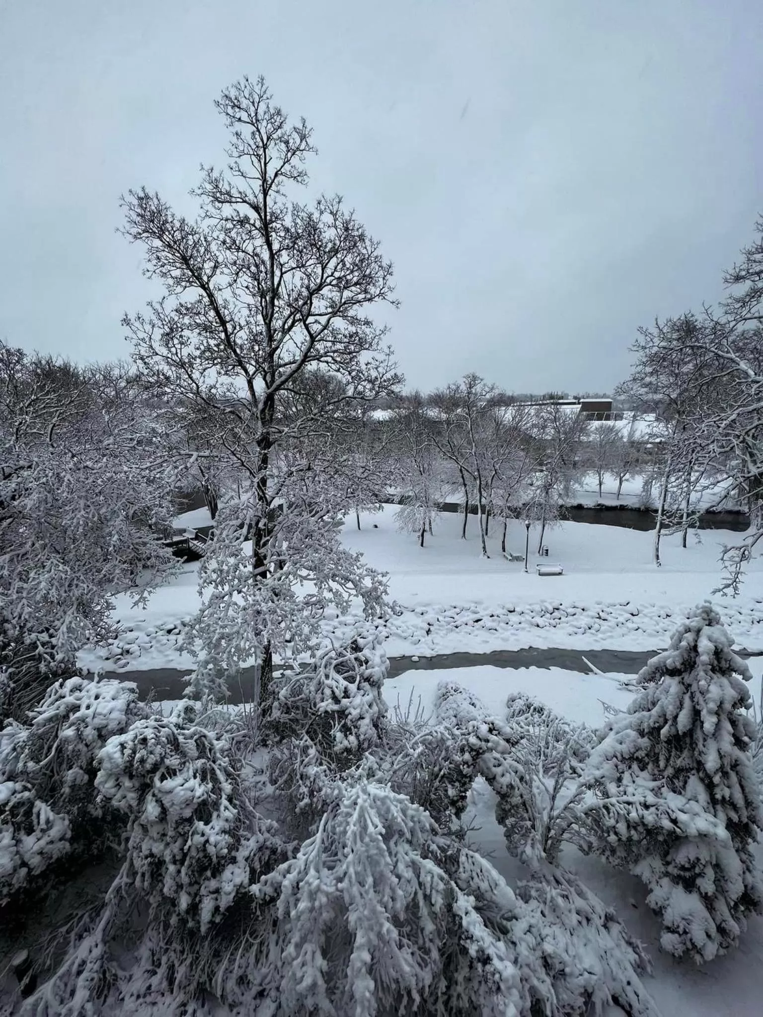 Winter in Mill Creek Hotel