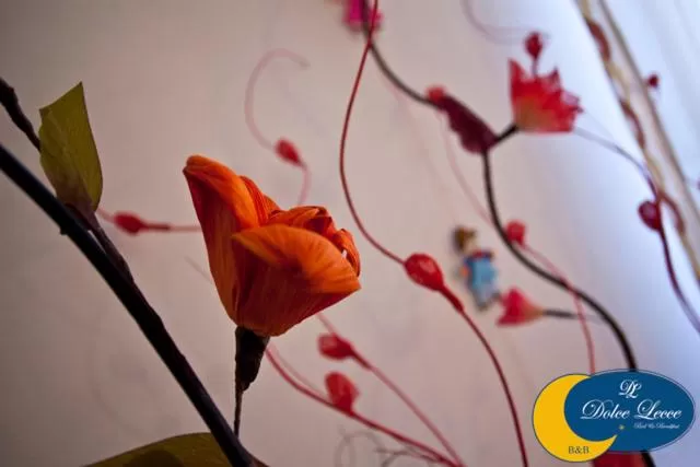 Dolce Lecce B&B