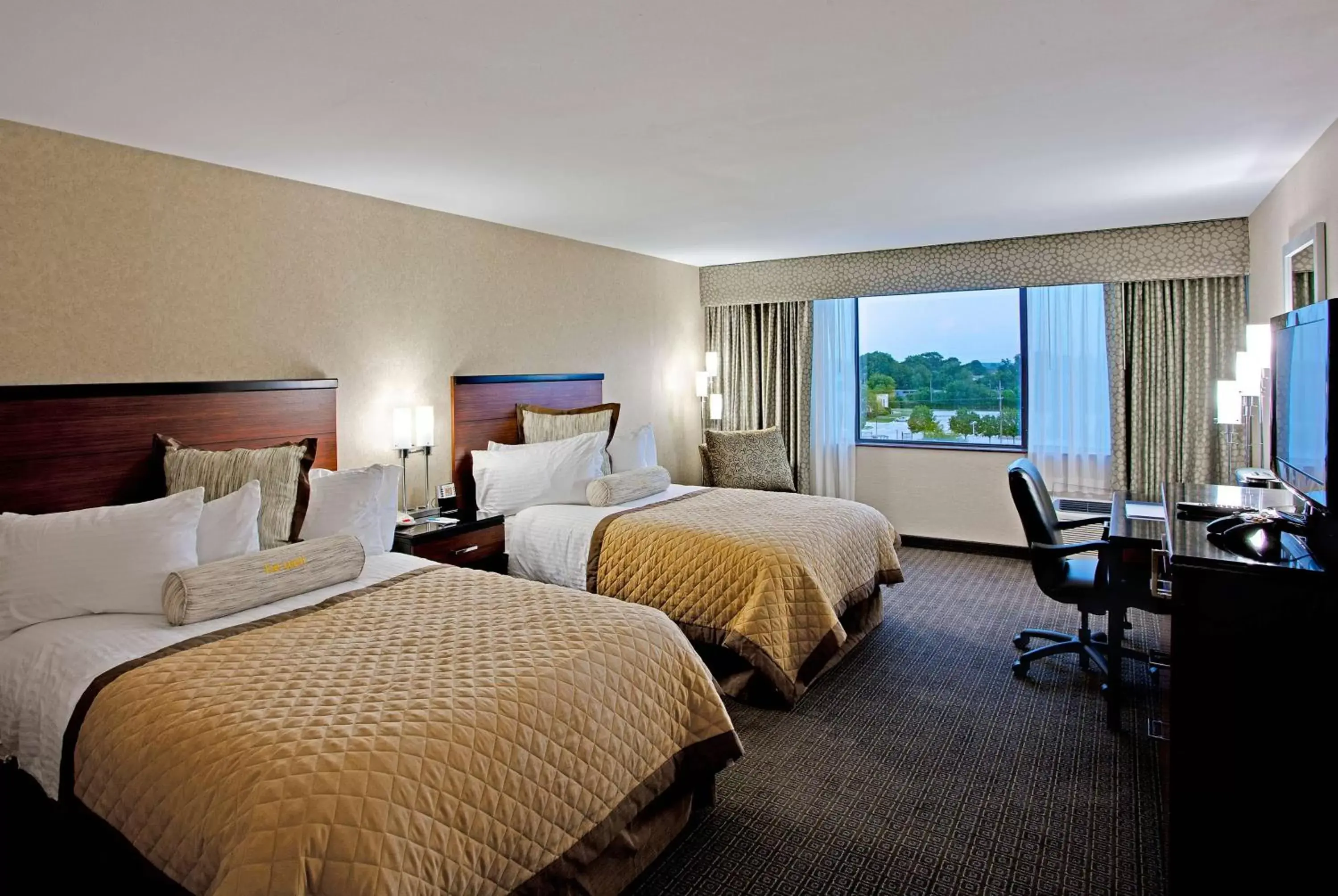 Photo of the whole room in Wyndham Garden Philadelphia Airport
