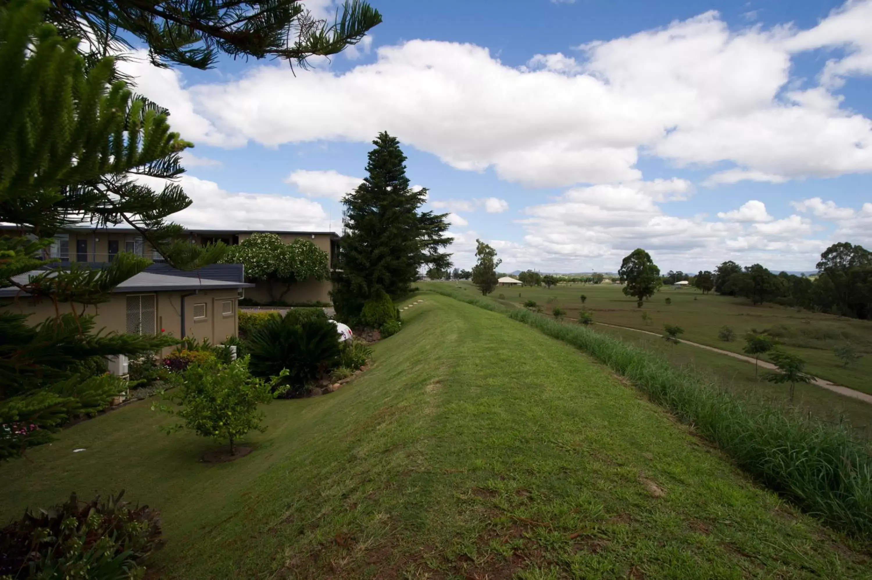 Area and facilities, Garden in Mid City Motor Inn Singleton