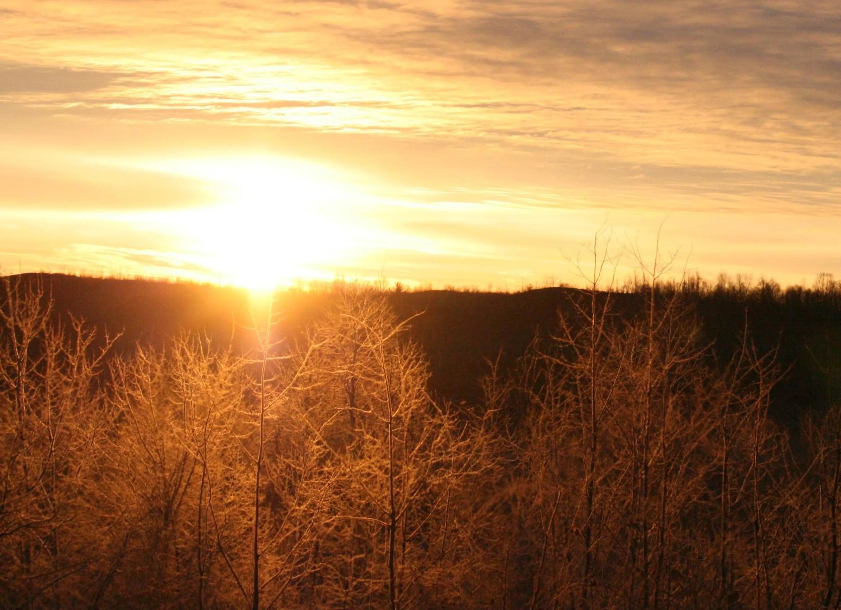 View (from property/room) in Moonlight Inn and Suites Sudbury