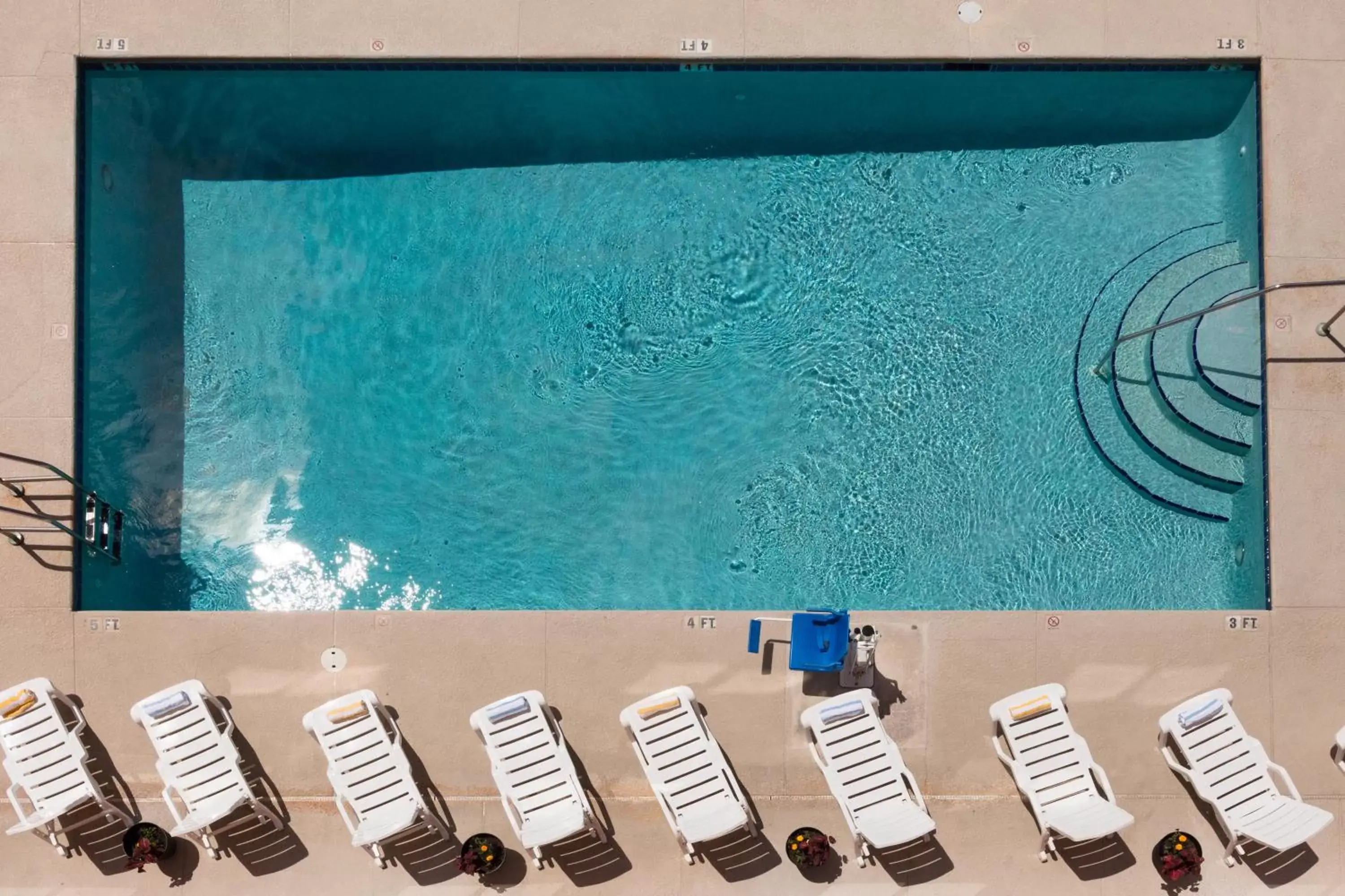 Pool View in Amelia Hotel at the Beach