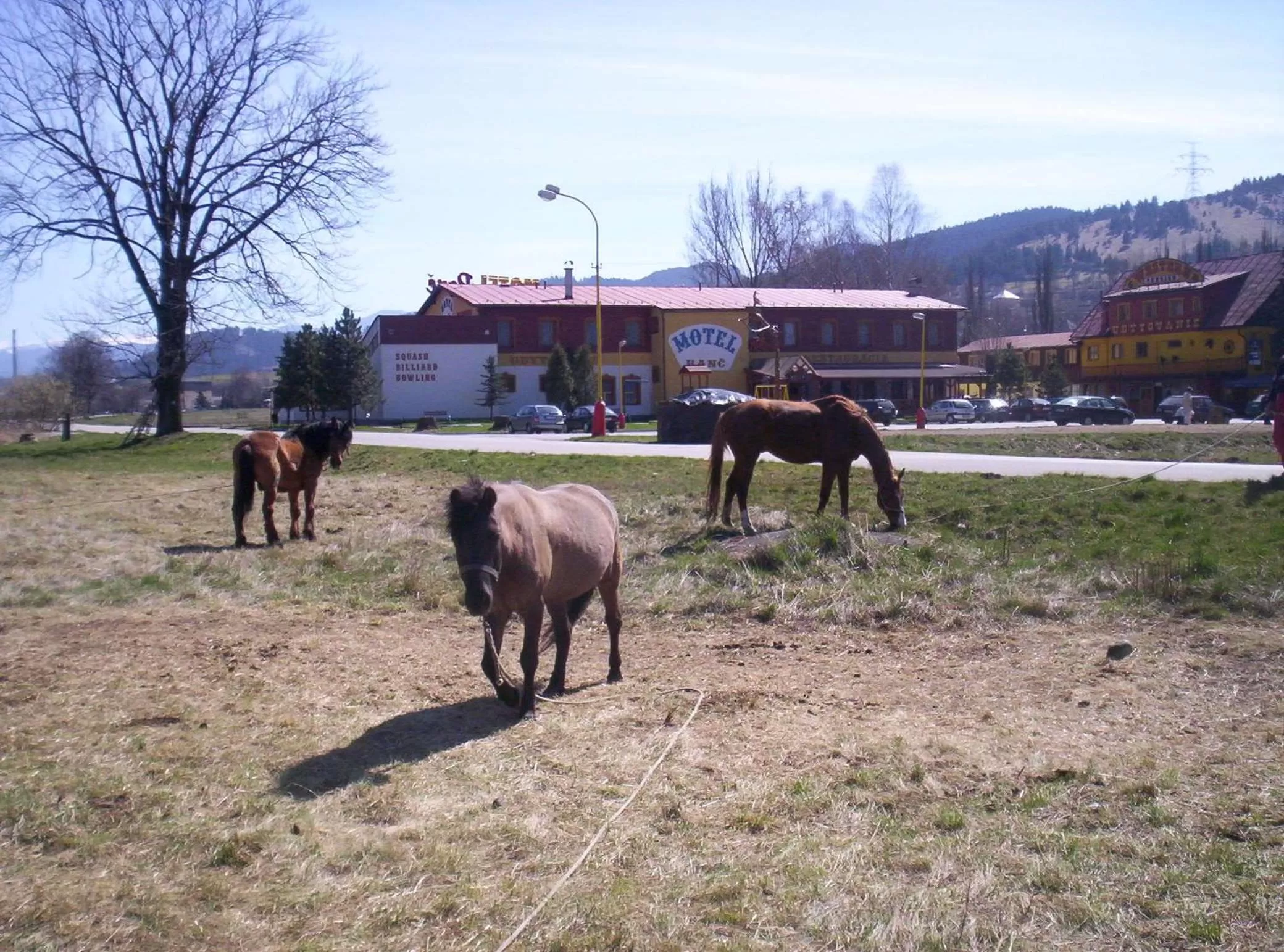 Horse-riding in Motel Ranč