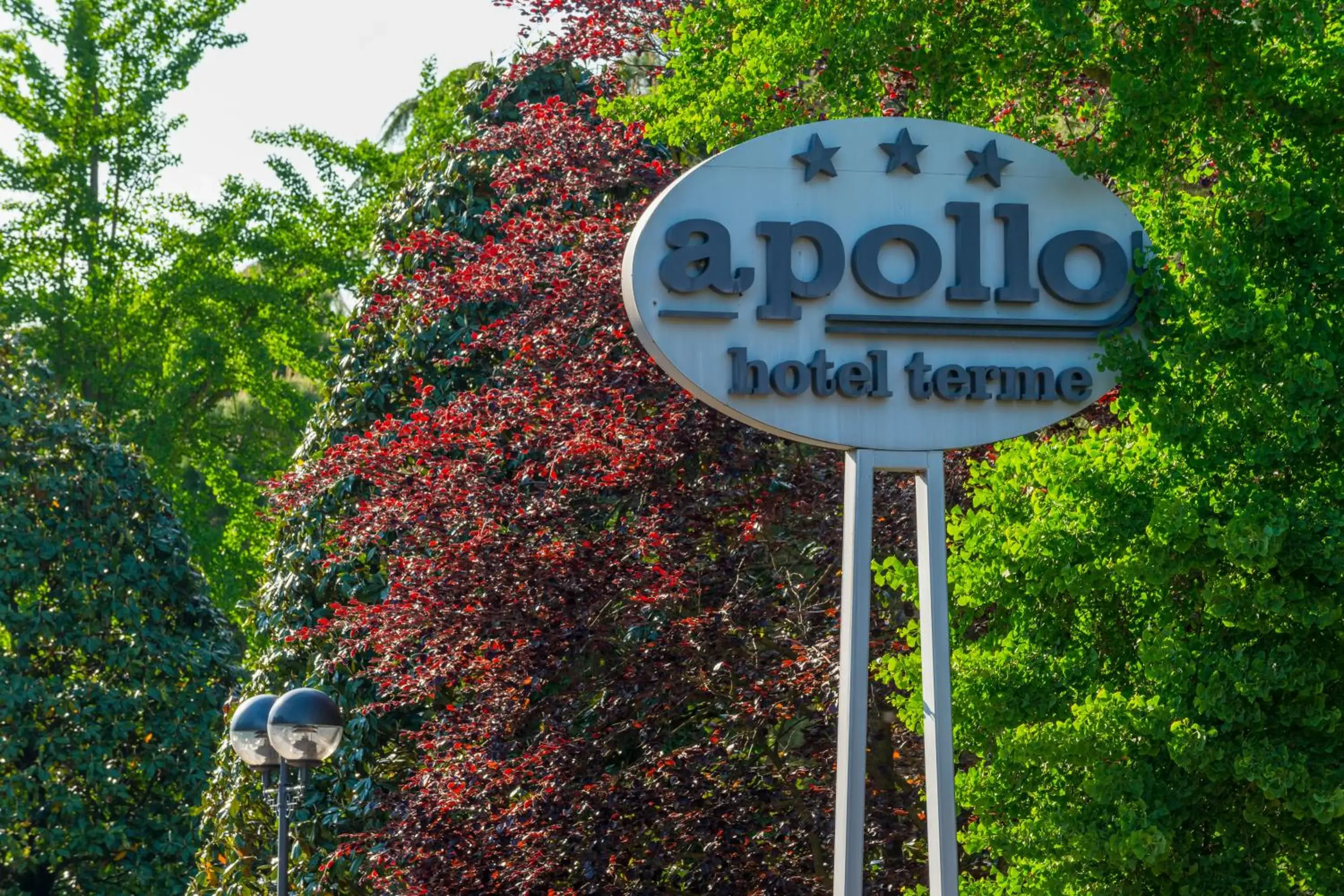 Property logo or sign in Apollo Terme Hotel