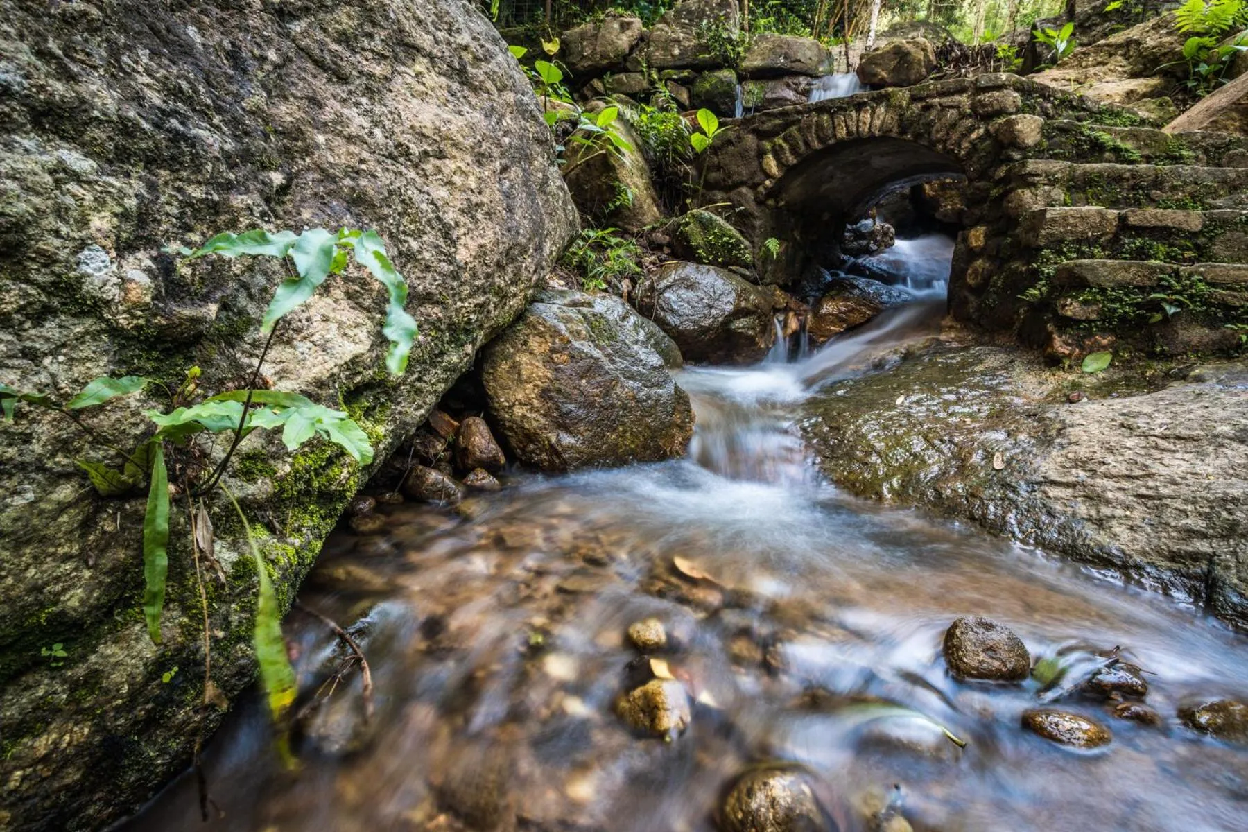 Natural landscape in Yasmin Hill Longevity Oasis