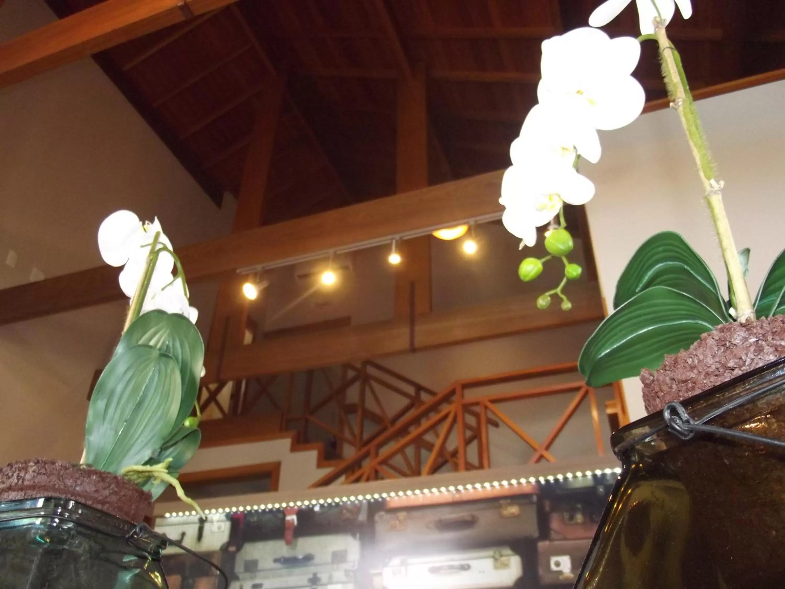 Lobby or reception in Hotel Park Haus