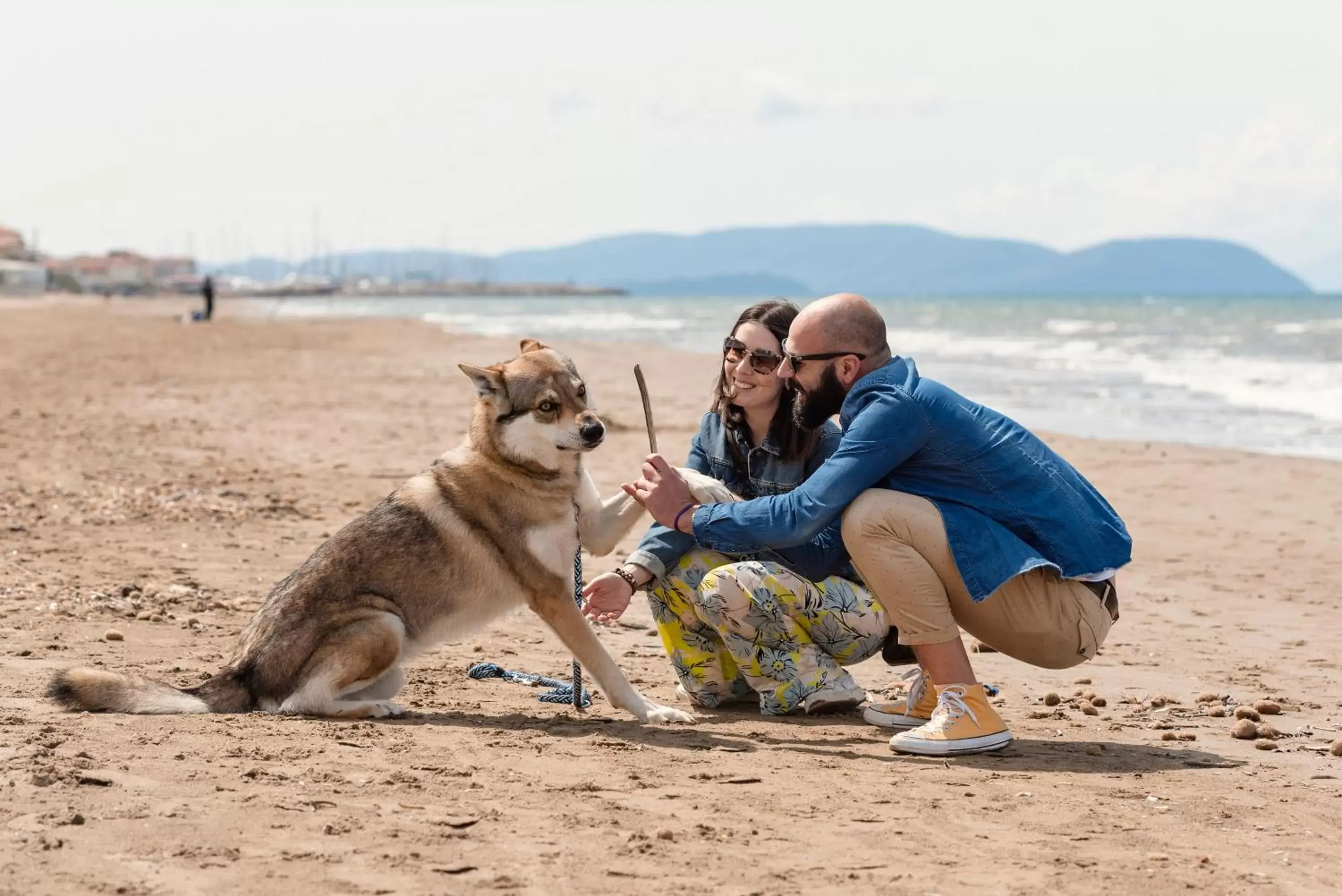 Beach, Pets in Residenza Santa Cecilia