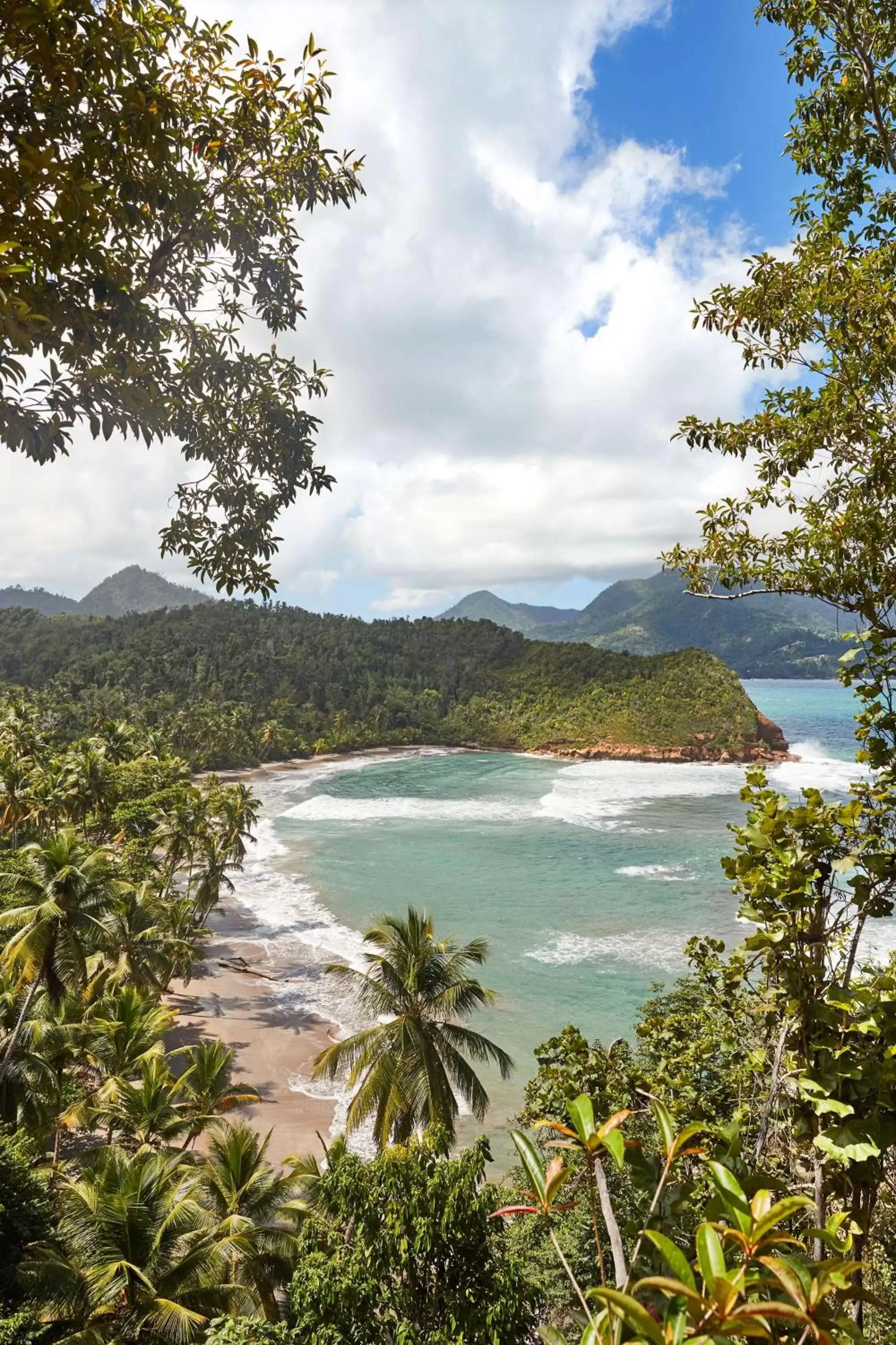 Beach in InterContinental Dominica Cabrits Resort & Spa, an IHG Hotel