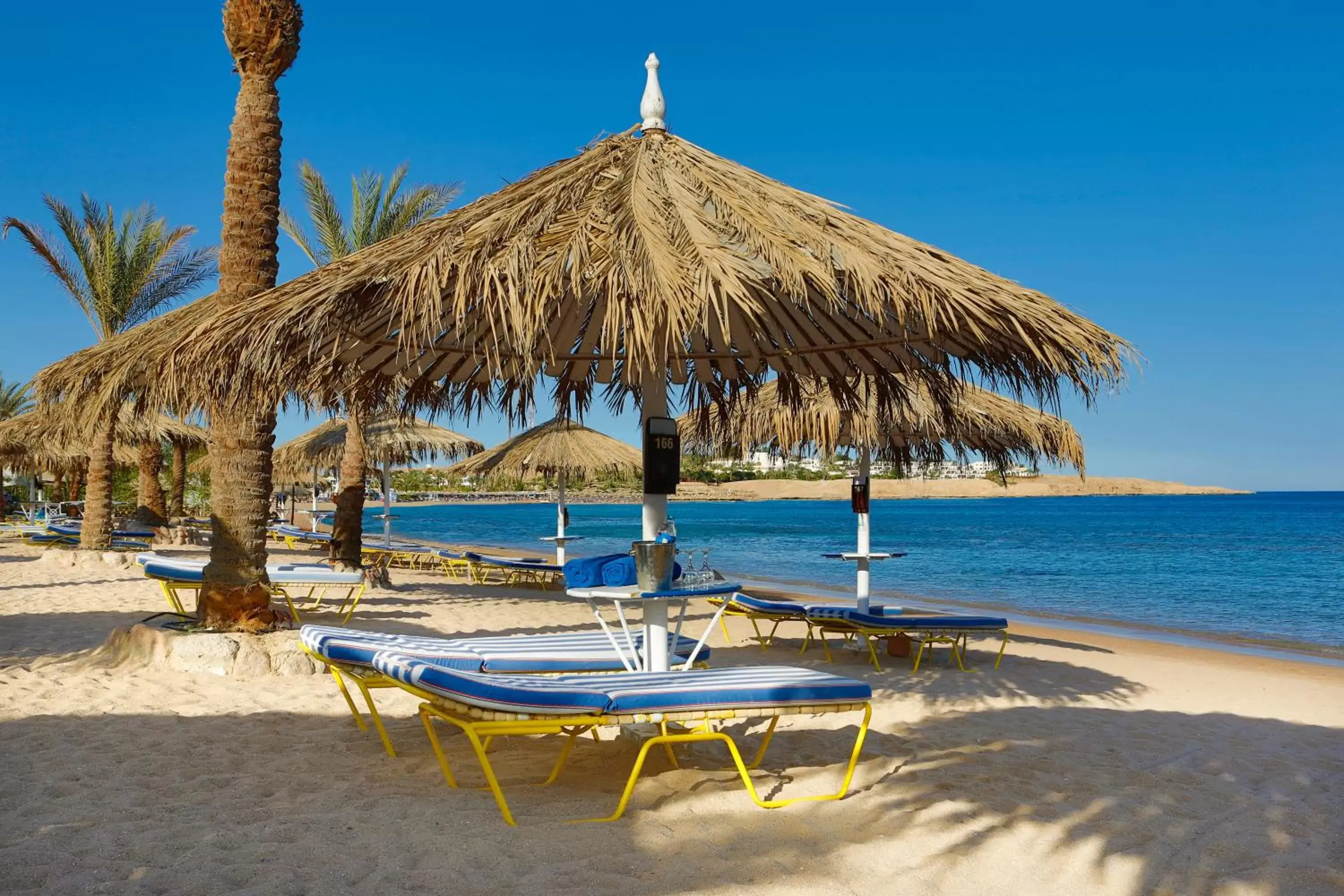 Beach in Sharm Dreams Resort - by Jaz Hotel Group