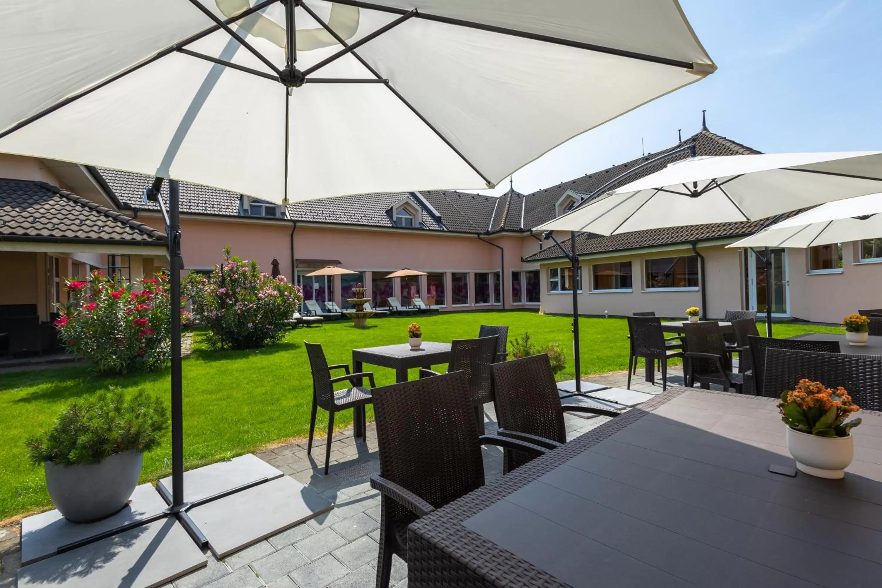 Restaurant/places to eat in Hotel Orchidea Spa & Wellness