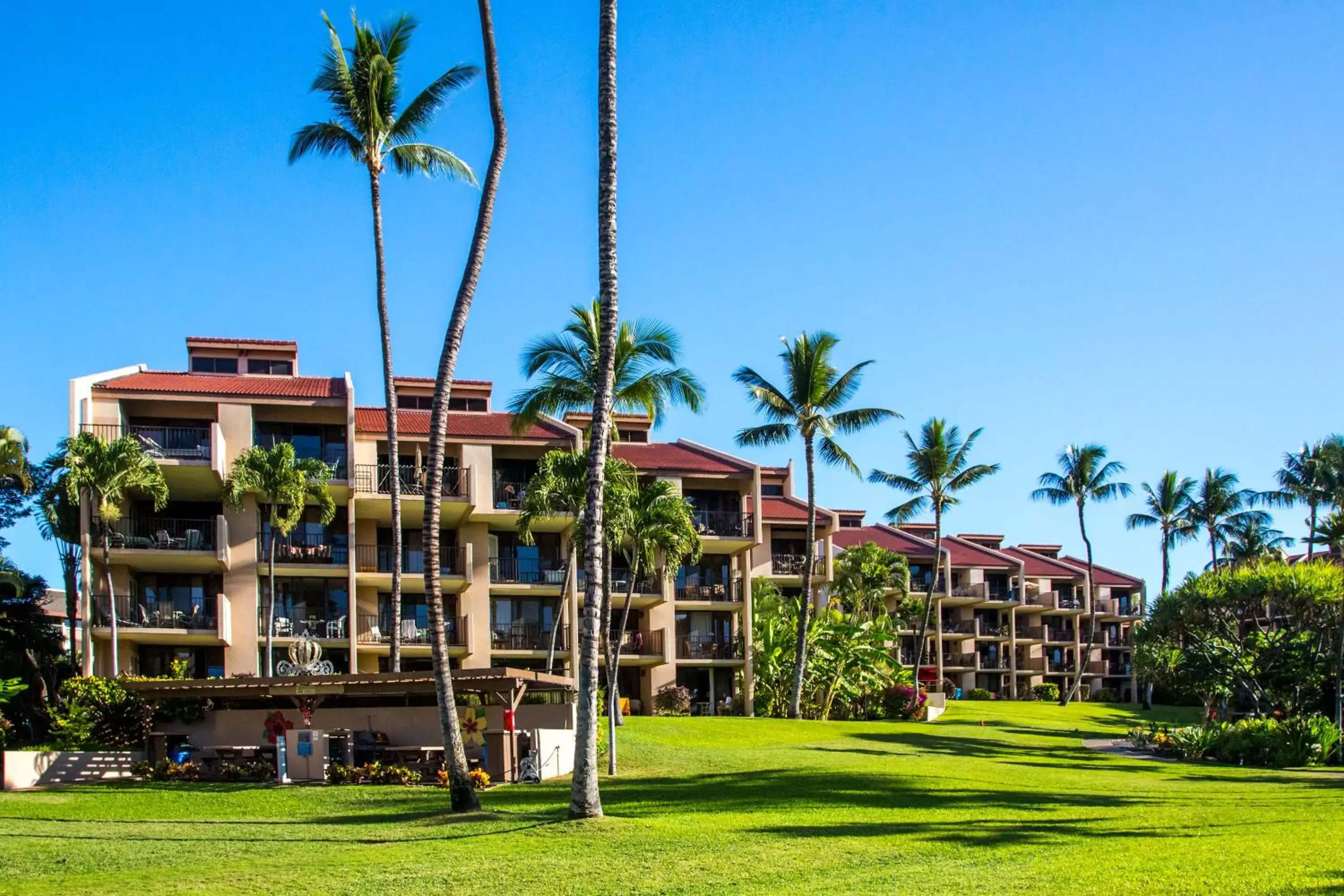 Property building, Garden in Castle Kamaole Sands