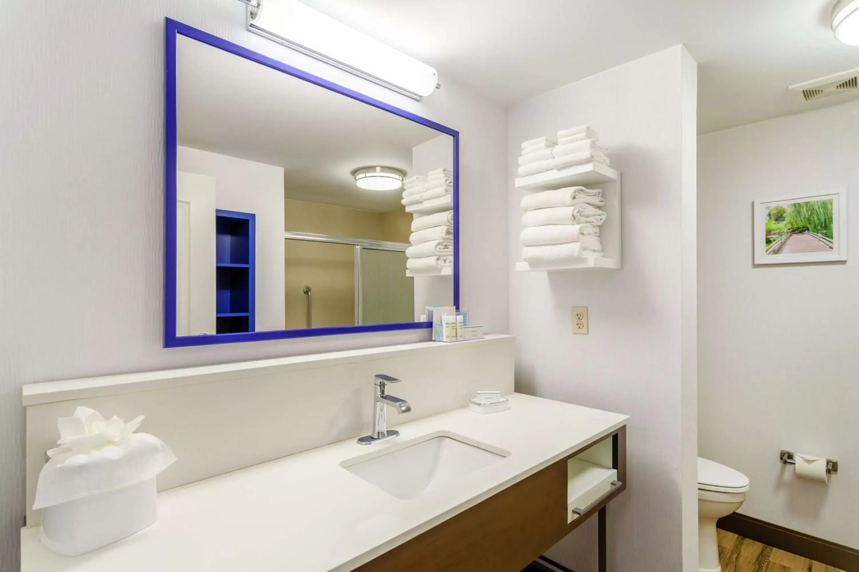 Bathroom in Hampton Inn & Suites Chicago - Libertyville