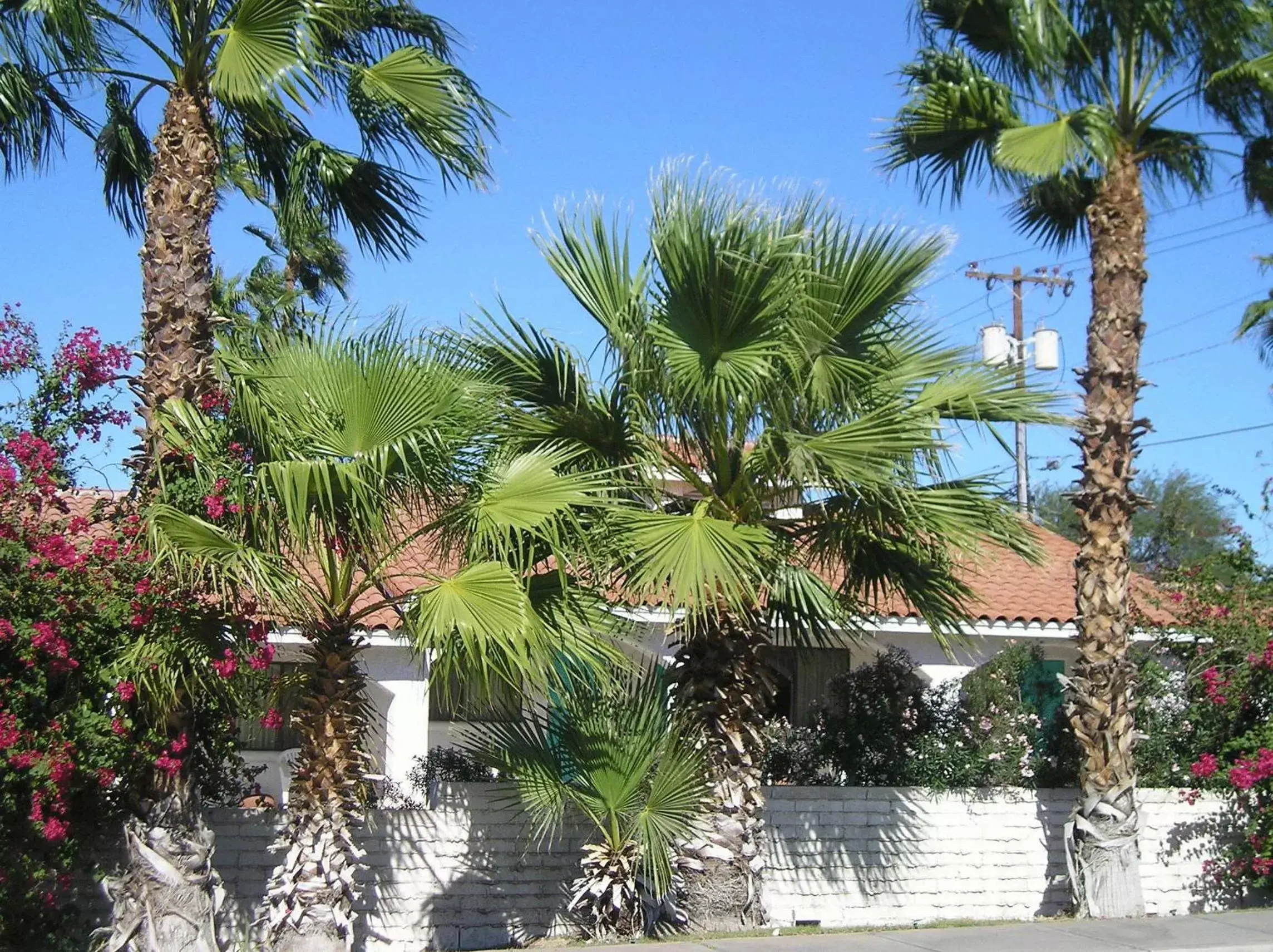 Facade/entrance in Coronado Motor Hotel, a Travelodge by Wyndham