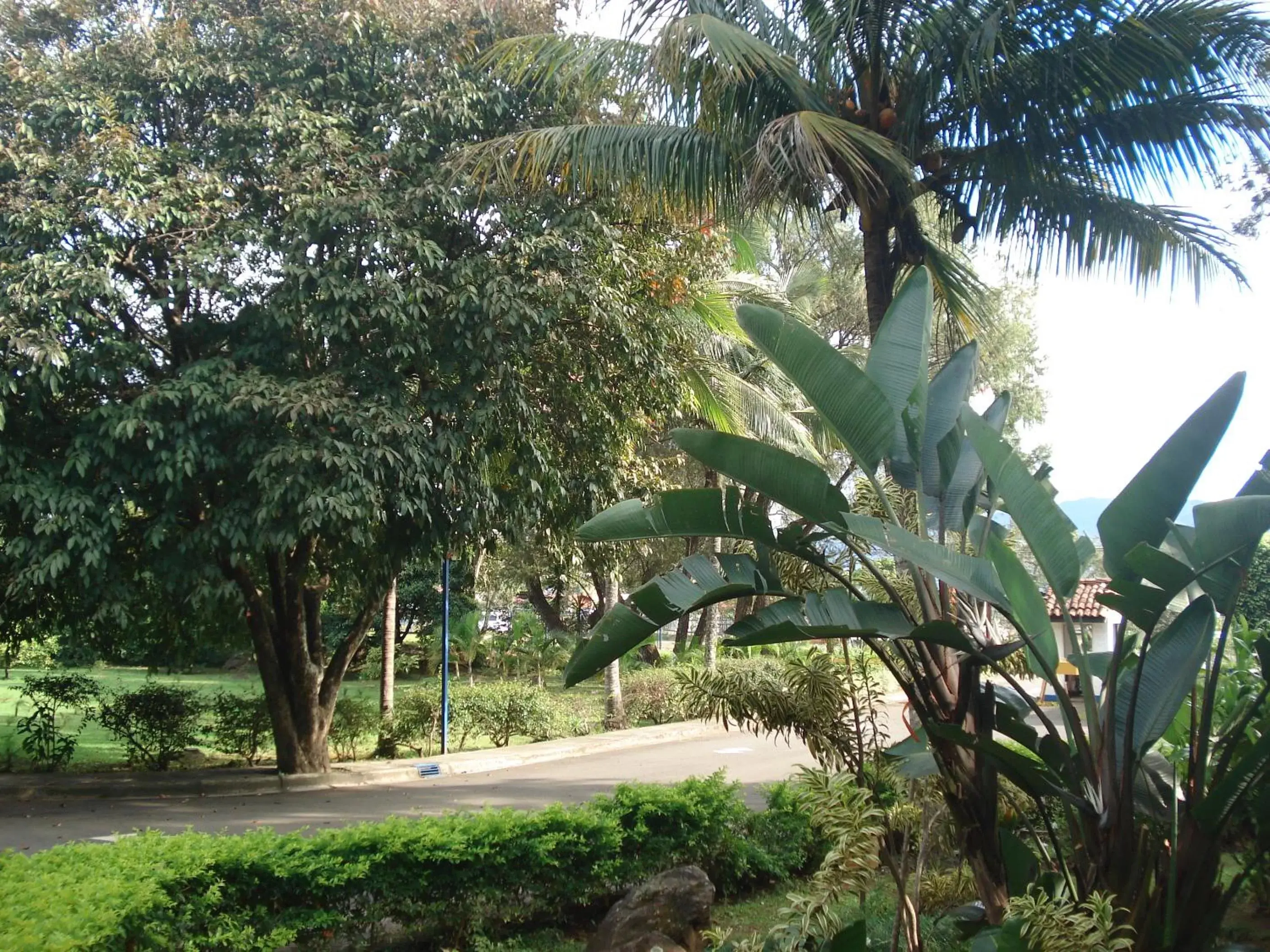 Garden in Hotel Aeropuerto