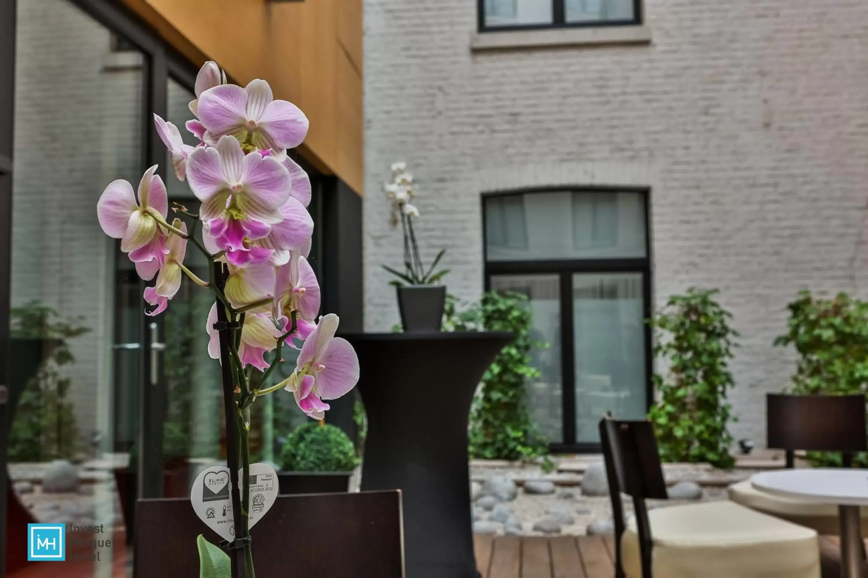 Patio in Hotel De La Couronne Liege