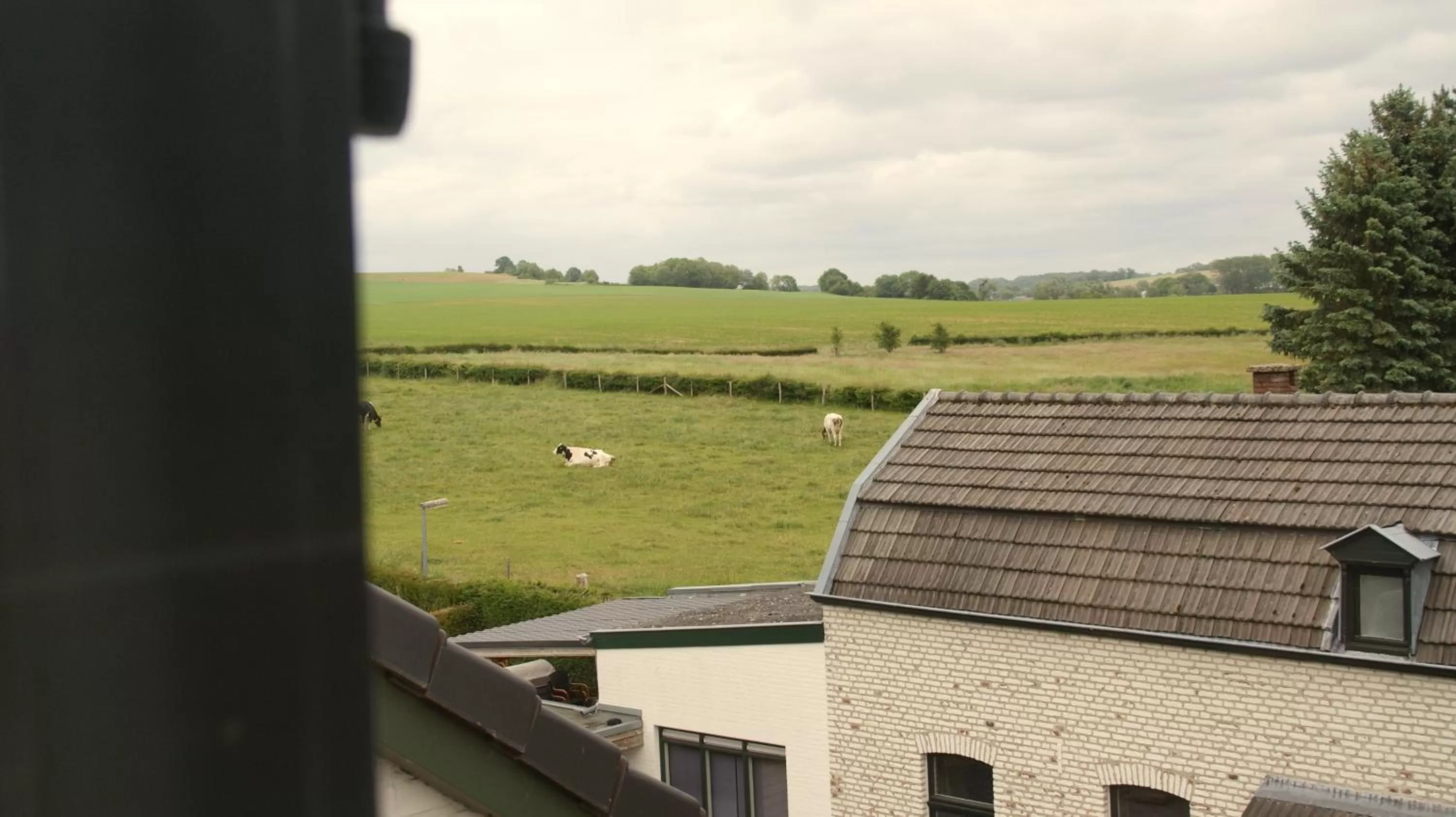 Day in In den Roden Leeuw van Limburg