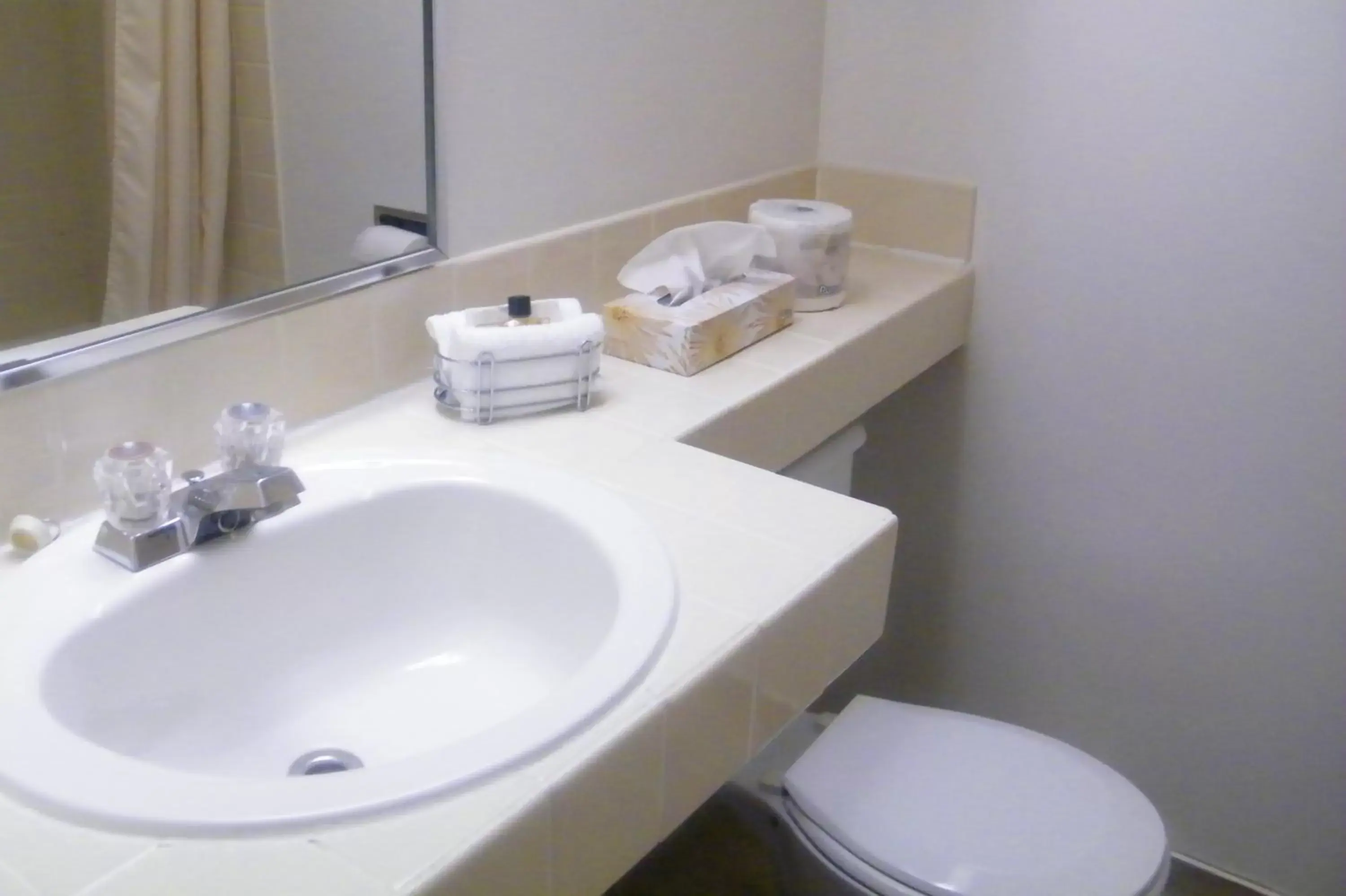 Bathroom in Mount Peyton Resort & Conference Centre