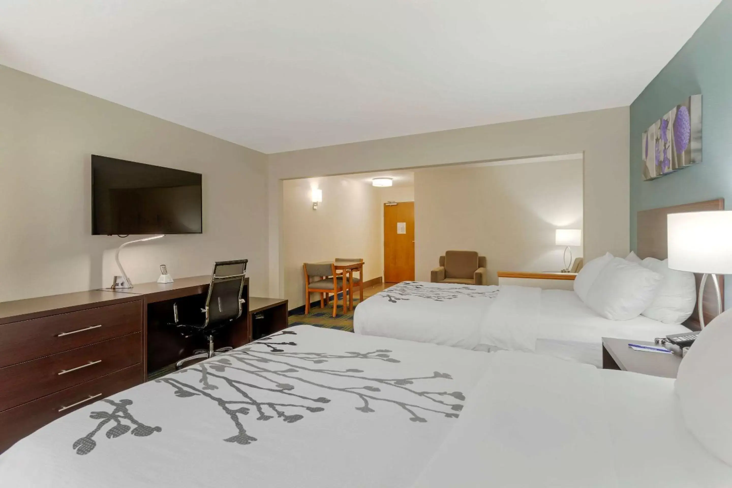 Photo of the whole room, Bed in Sleep Inn & Suites Smyrna – Nashville
