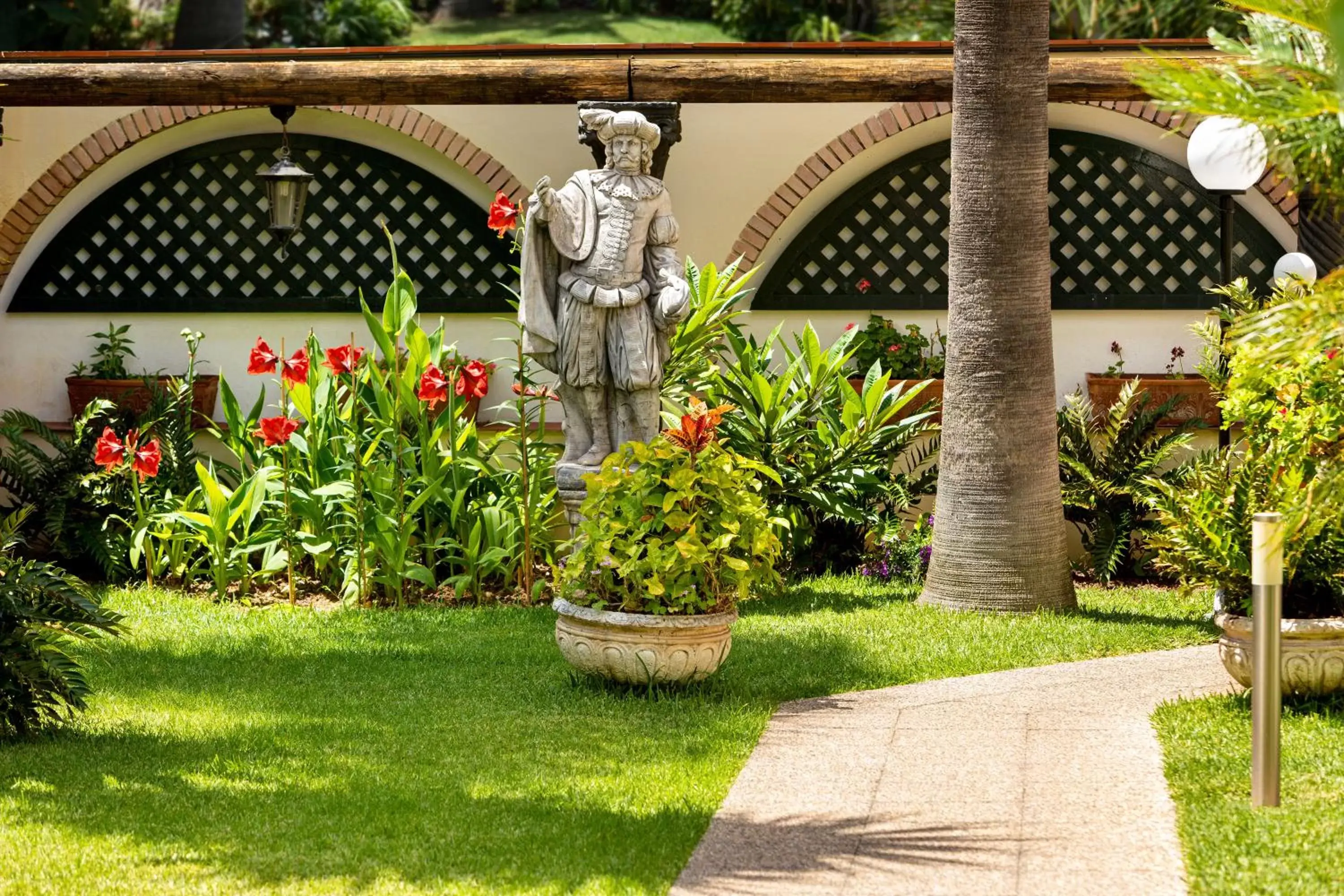 Garden in Hotel Don Manolito